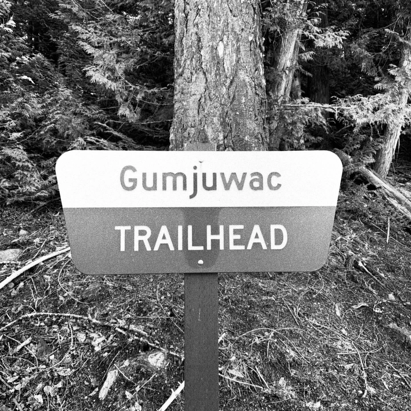 I&rsquo;ll be back I later. 

I&rsquo;ve got something to do. 

#hiking
#oregon