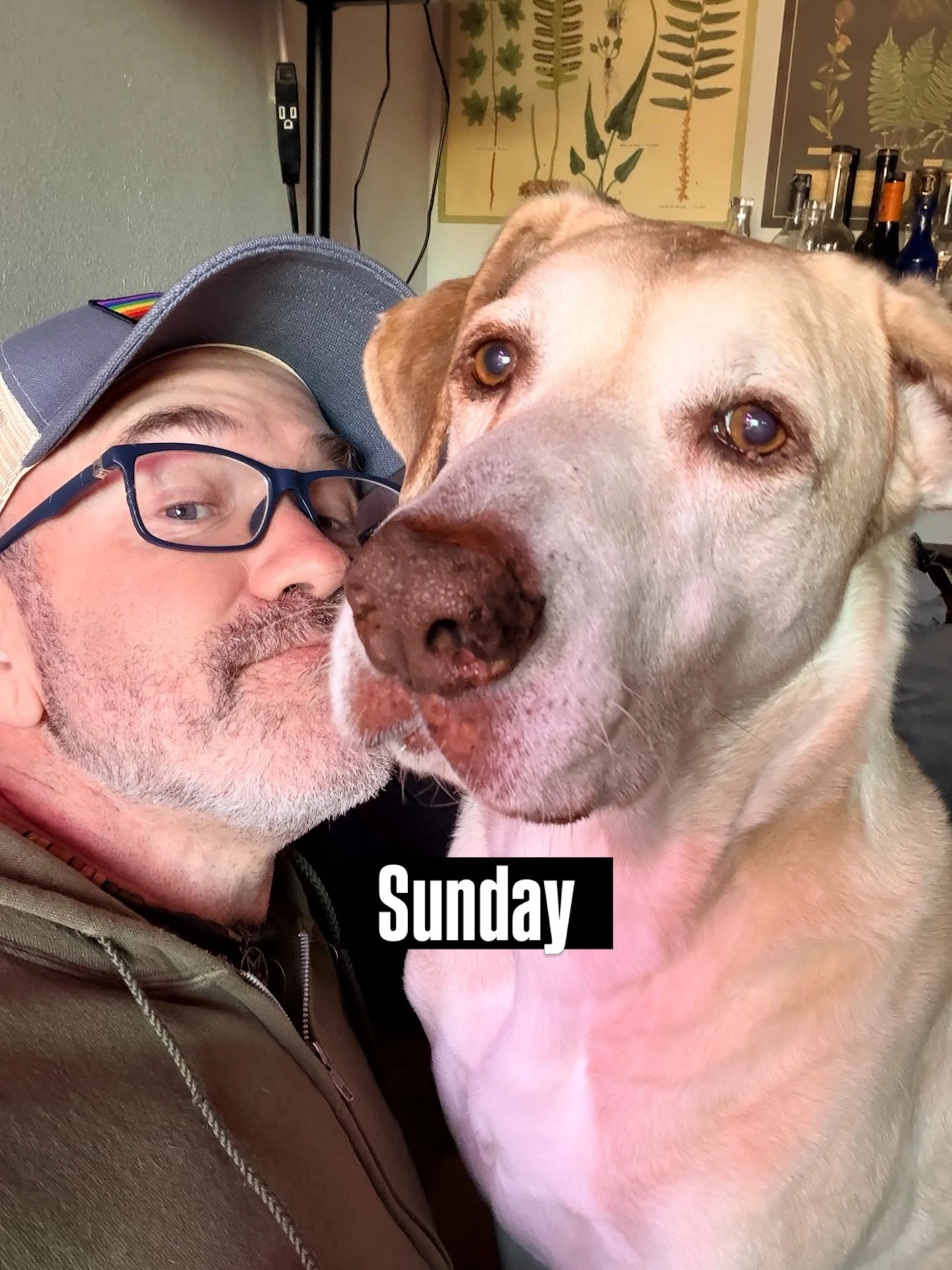 Sunday was a rest day, and I&rsquo;d been asked to do a little puppy sitting with this Old Man. Happily, I said YES. 

Steinbeck is a lovely rescue, who&rsquo;s been a part of my life for NINE years. Older, wiser, we both have our aches and slower-pa