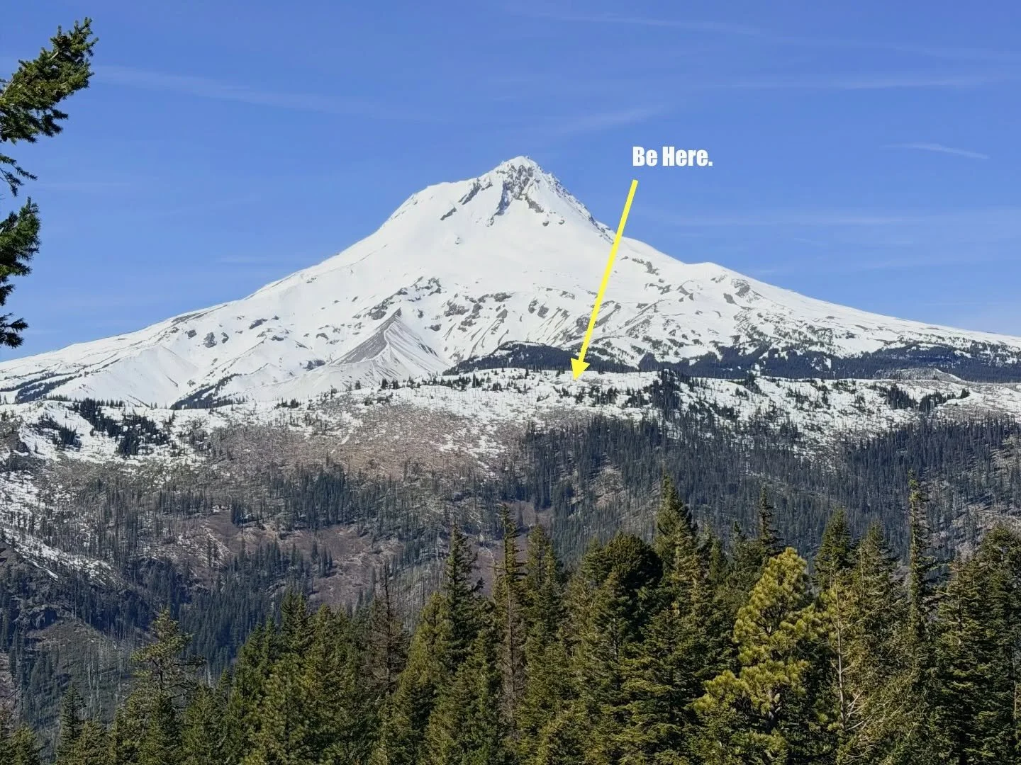 I&rsquo;m with the drag queen and the mountains. 

Planet first. Real lives first. 
Always.