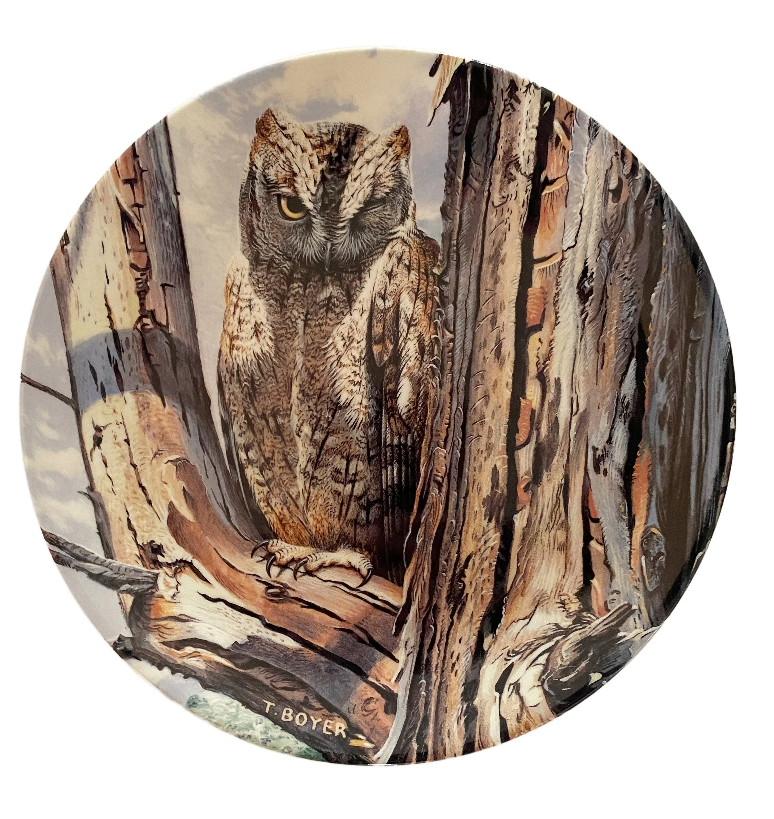 48bb2781-6ada-4426-b0dd-52b83ff23a4a.jfif