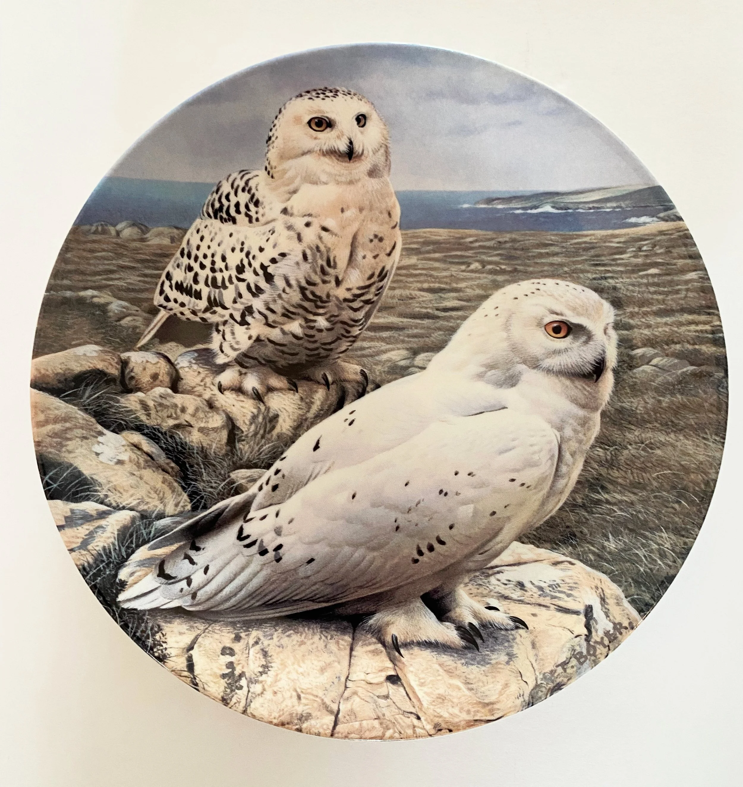 ed7cb6c9-f88d-4a3a-abab-df0178a4f60f.jfif