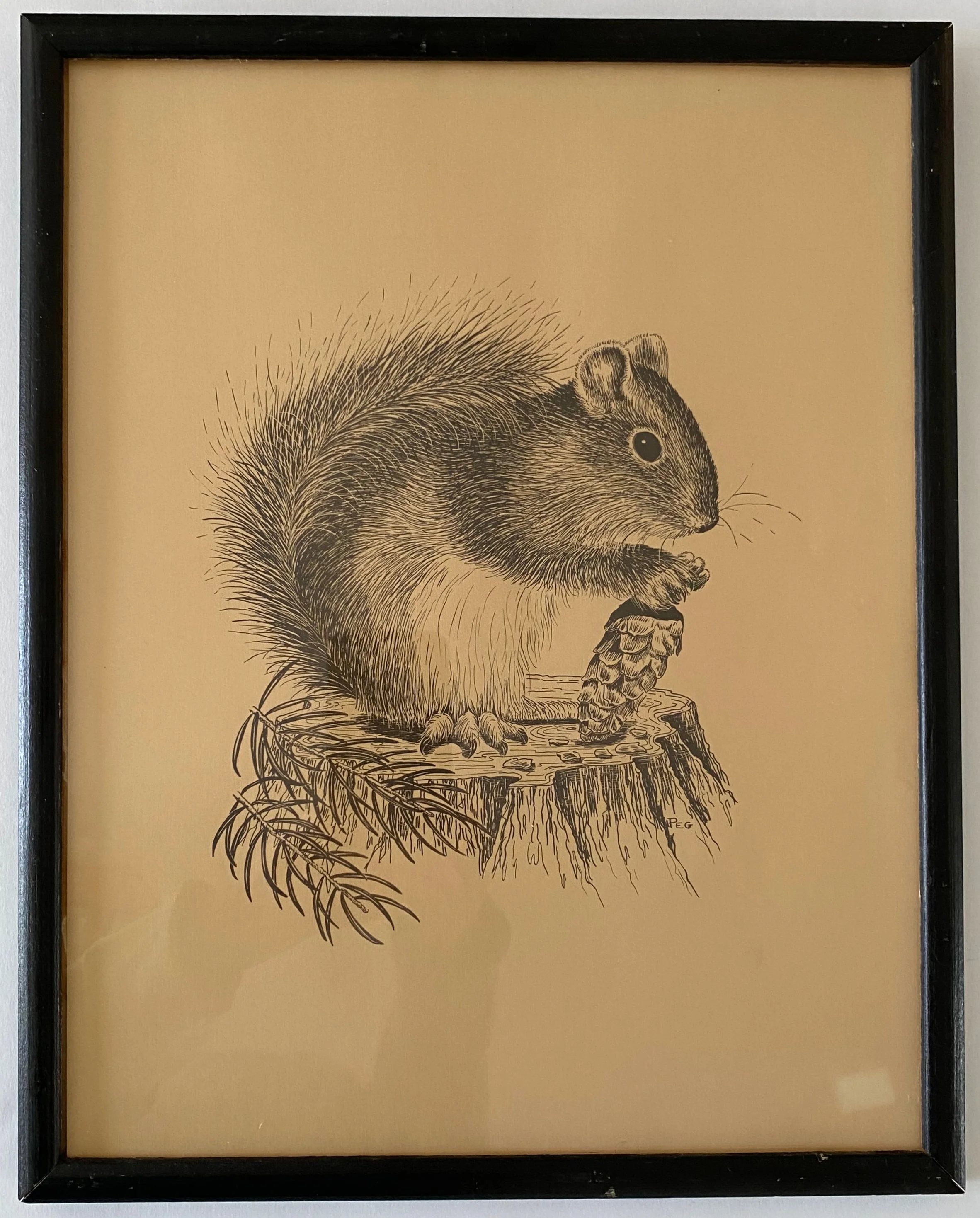 ef237506-7fb4-4cbe-94e9-a4b6f576ec61.jfif