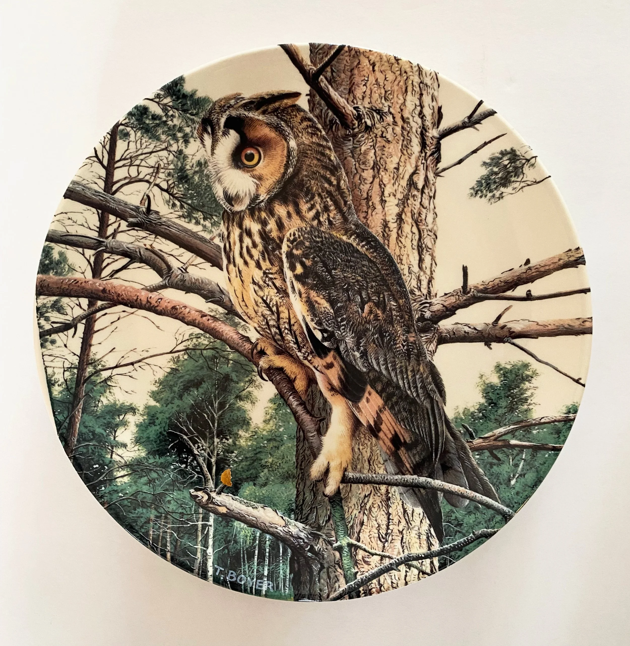 786b9c29-b89c-471f-aec2-4263b1a685b0.jfif