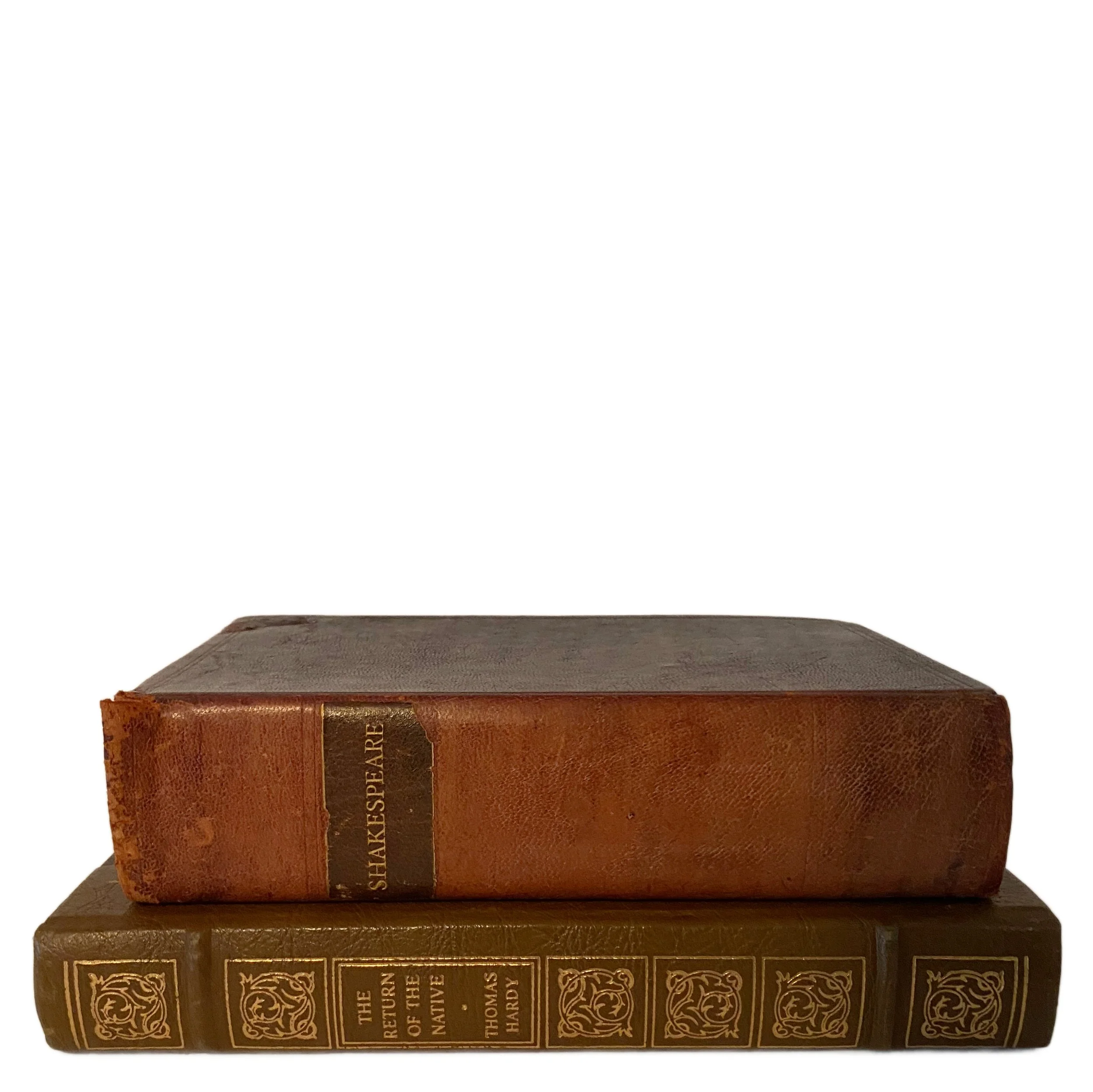 Set of 2 decorative books