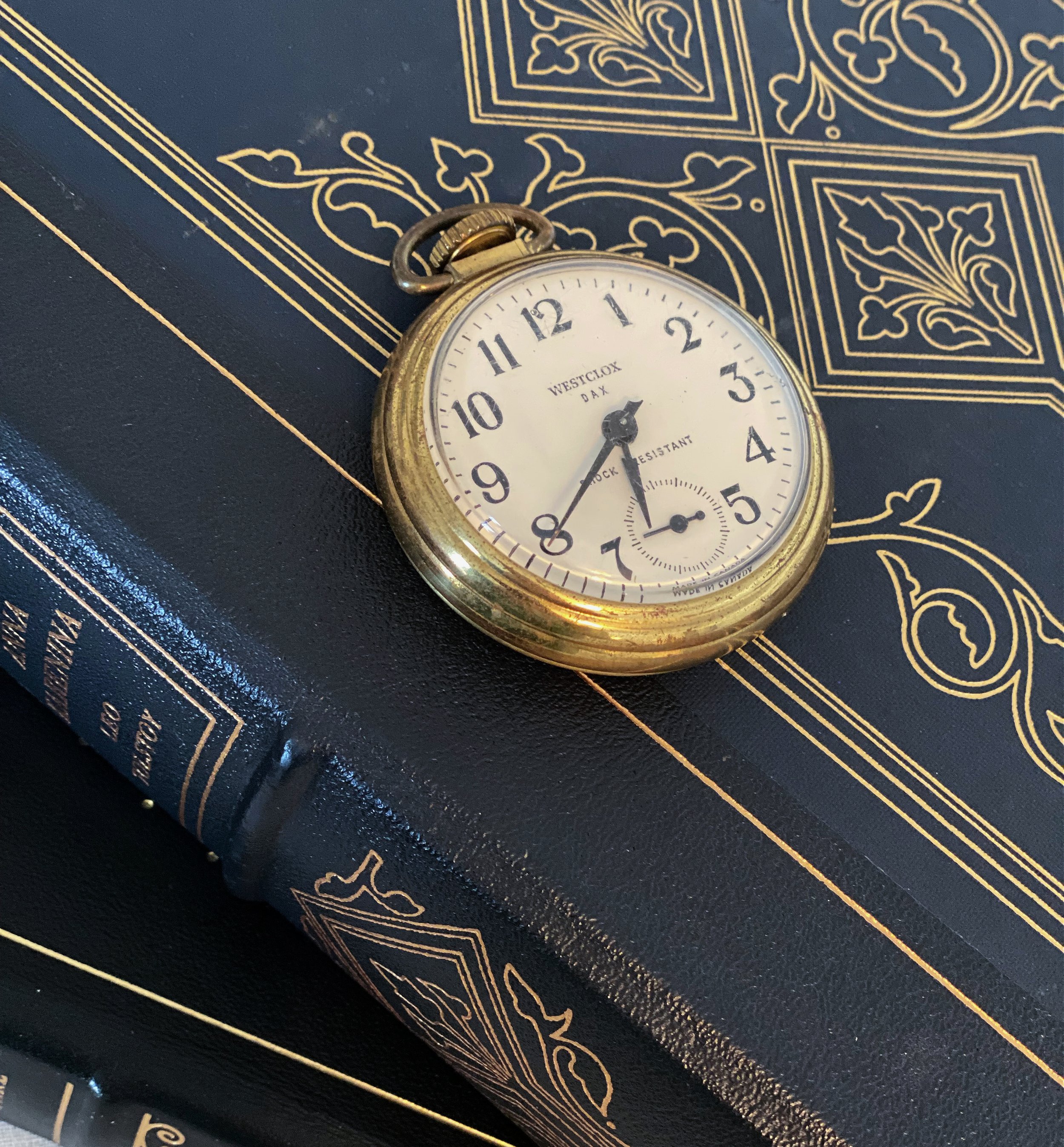 d52d5104-99cc-42ae-85e6-765eed6c46ec.jfif