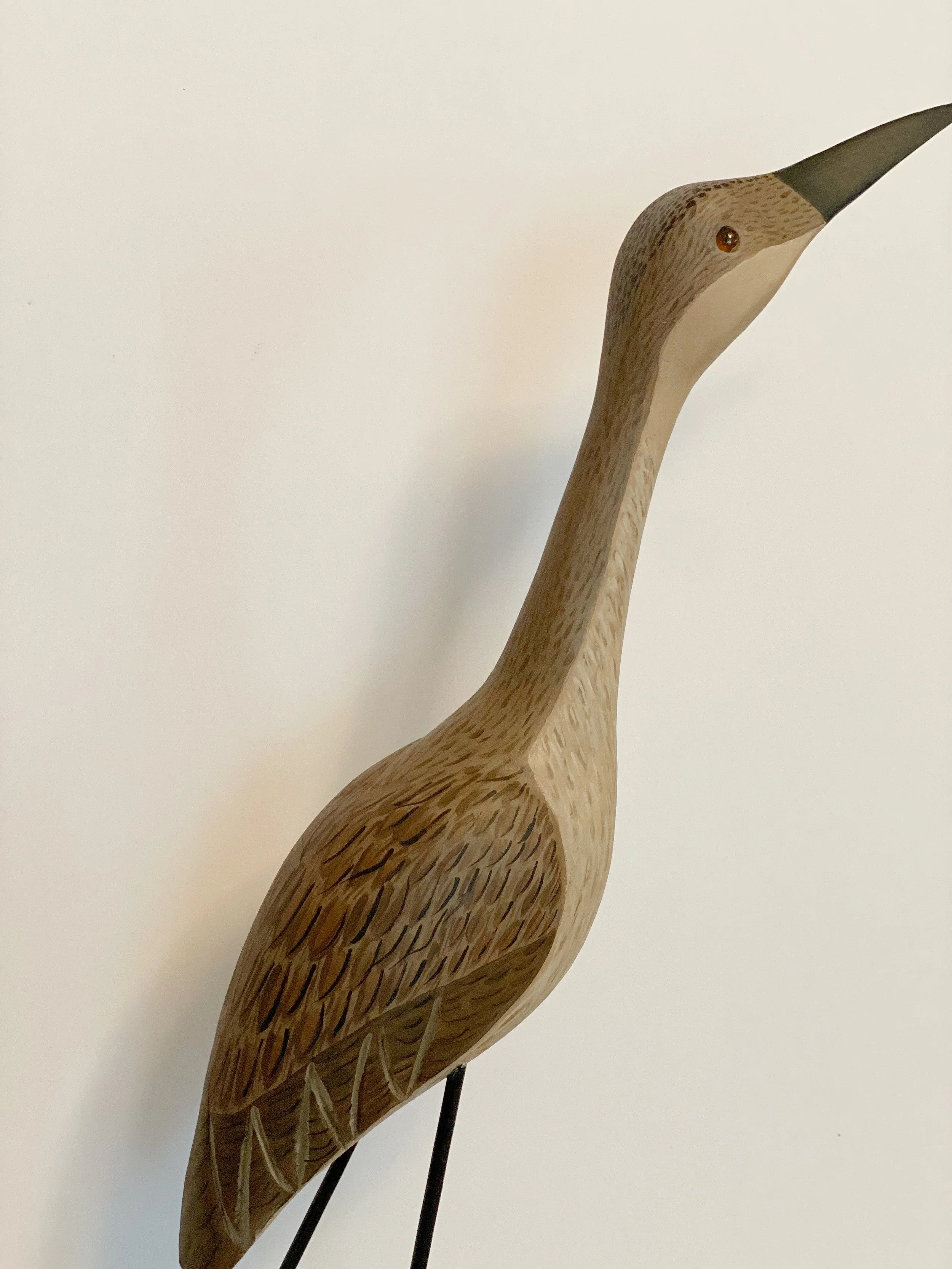 bird.jpg