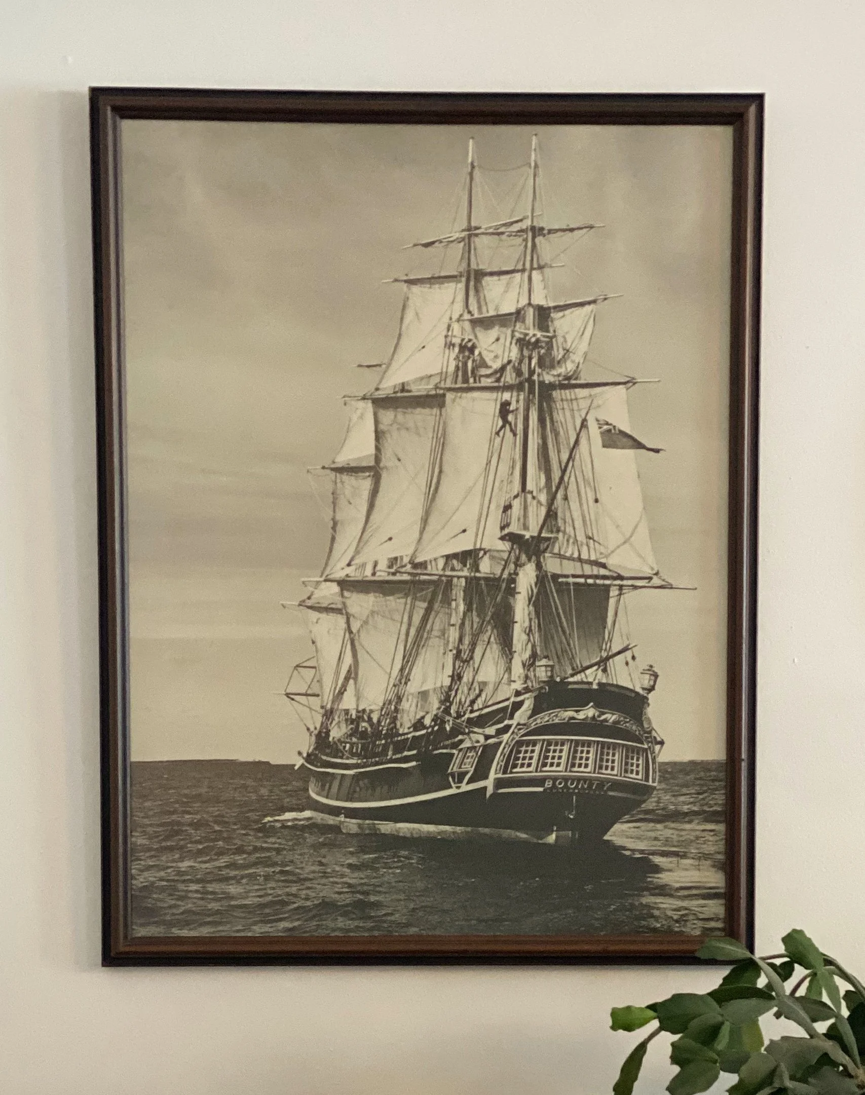 7df37420-c8a6-4ac8-b187-067f0ee95104.jfif