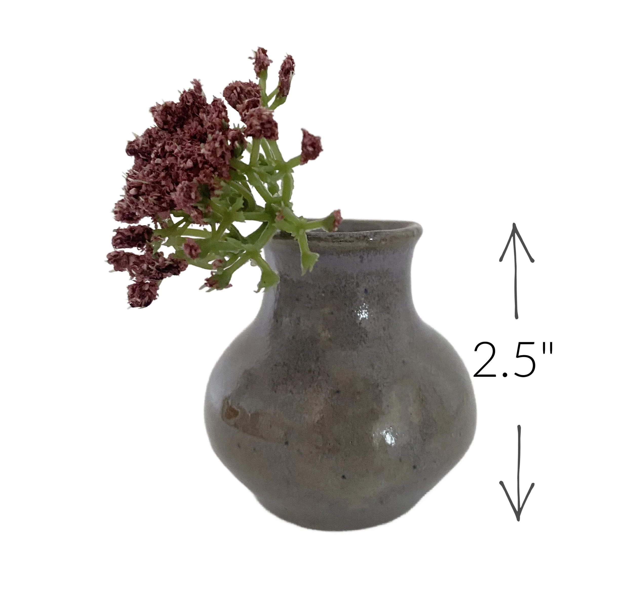 657ca2df-8154-42c7-b55e-516cc989e5ad.jfif (1).jpg