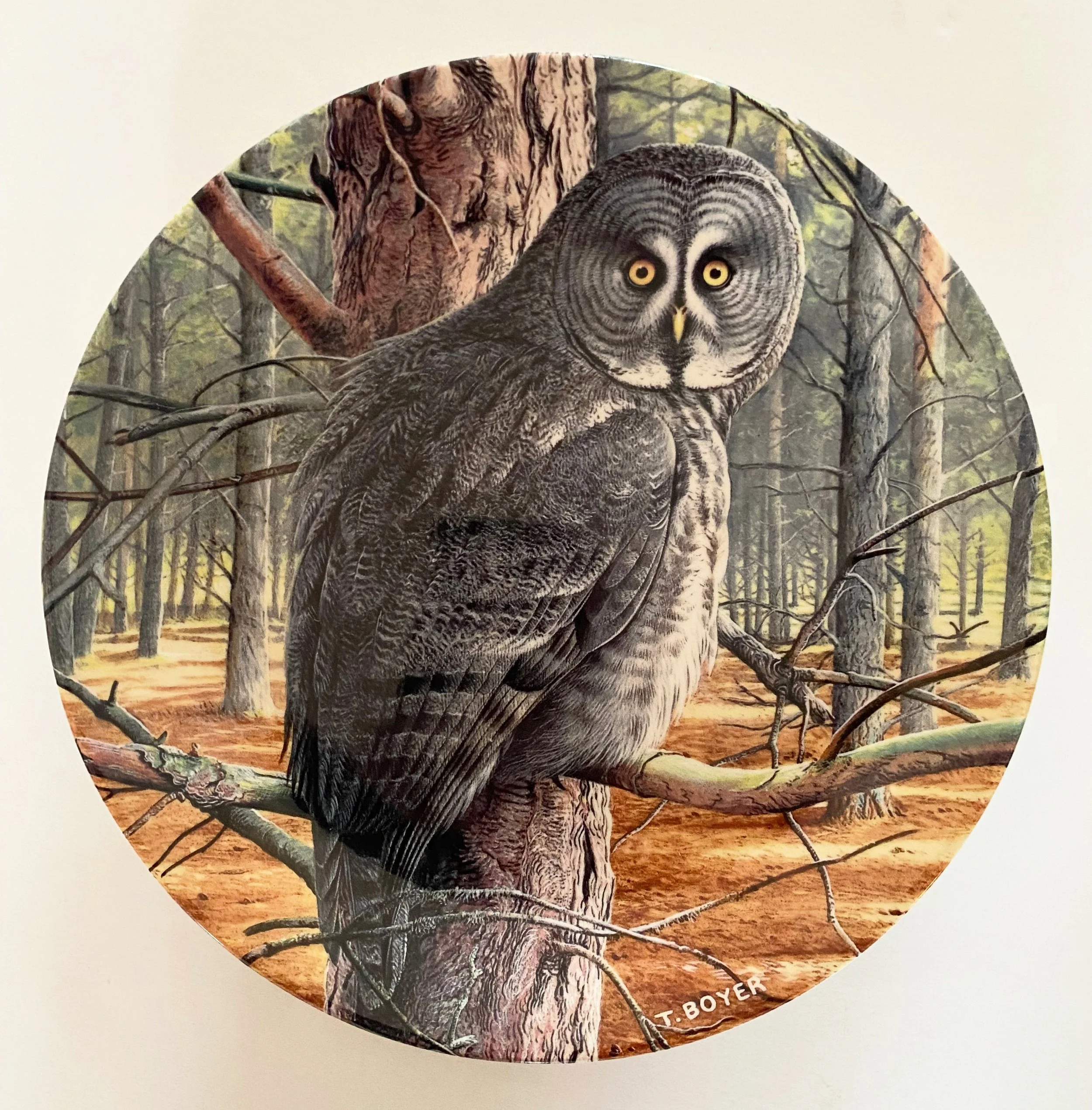 f517eb71-34f4-42d0-85c5-86258339ae44.jfif