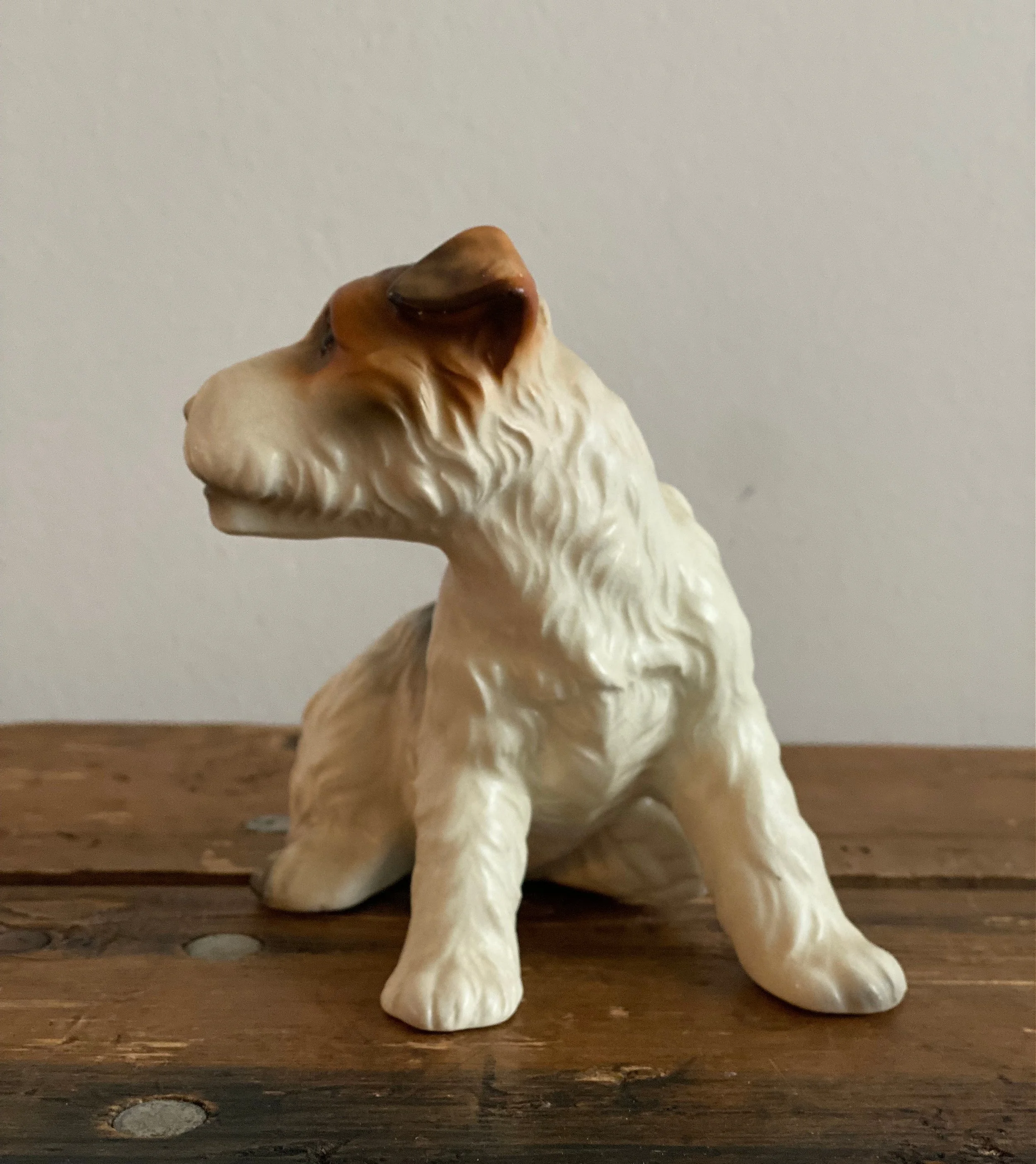 598549ab-de07-4721-bdfe-ae4de6e55b1e.jfif