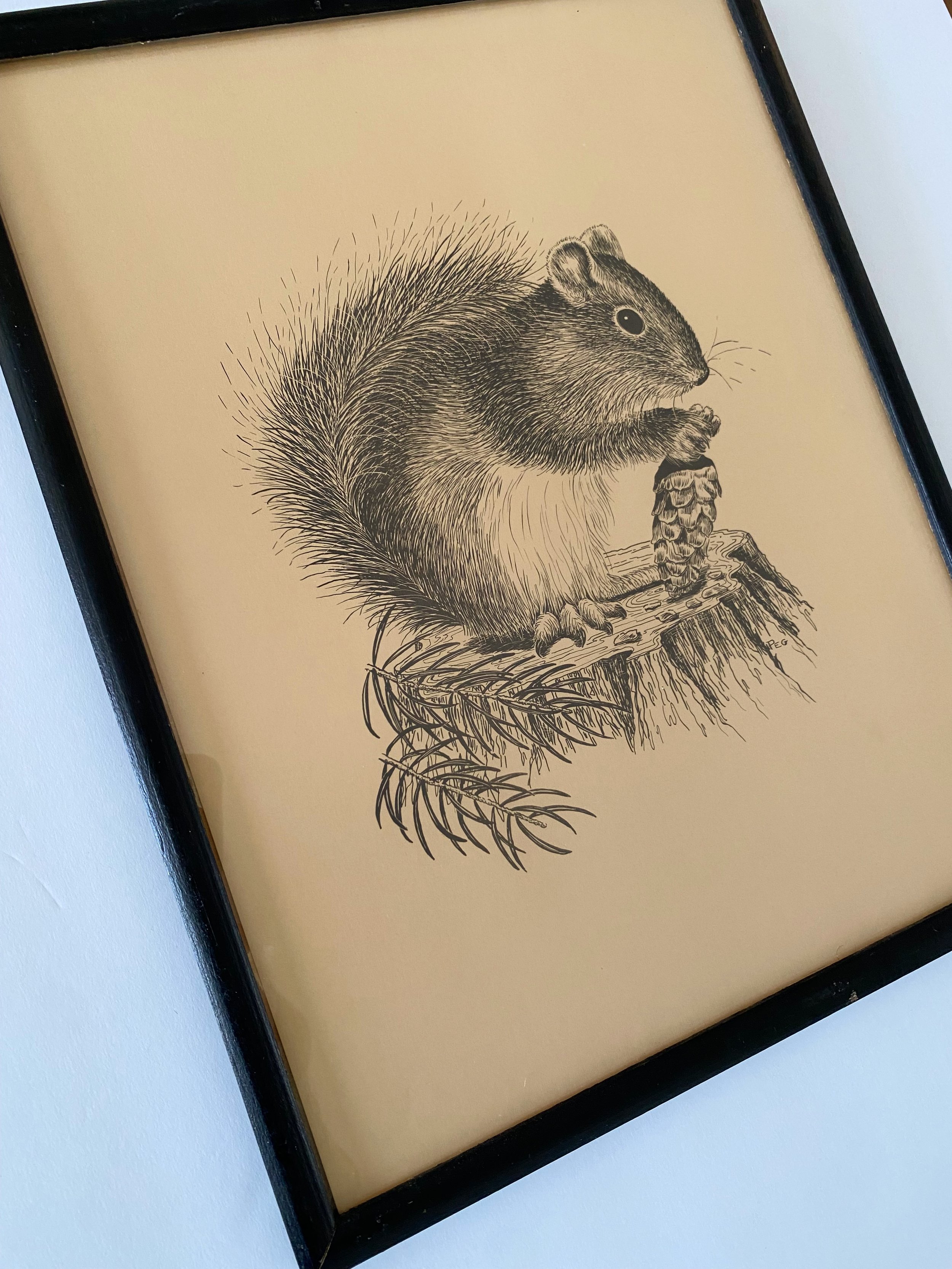 28b715cc-d835-4120-b30c-968e7d584e75.jfif