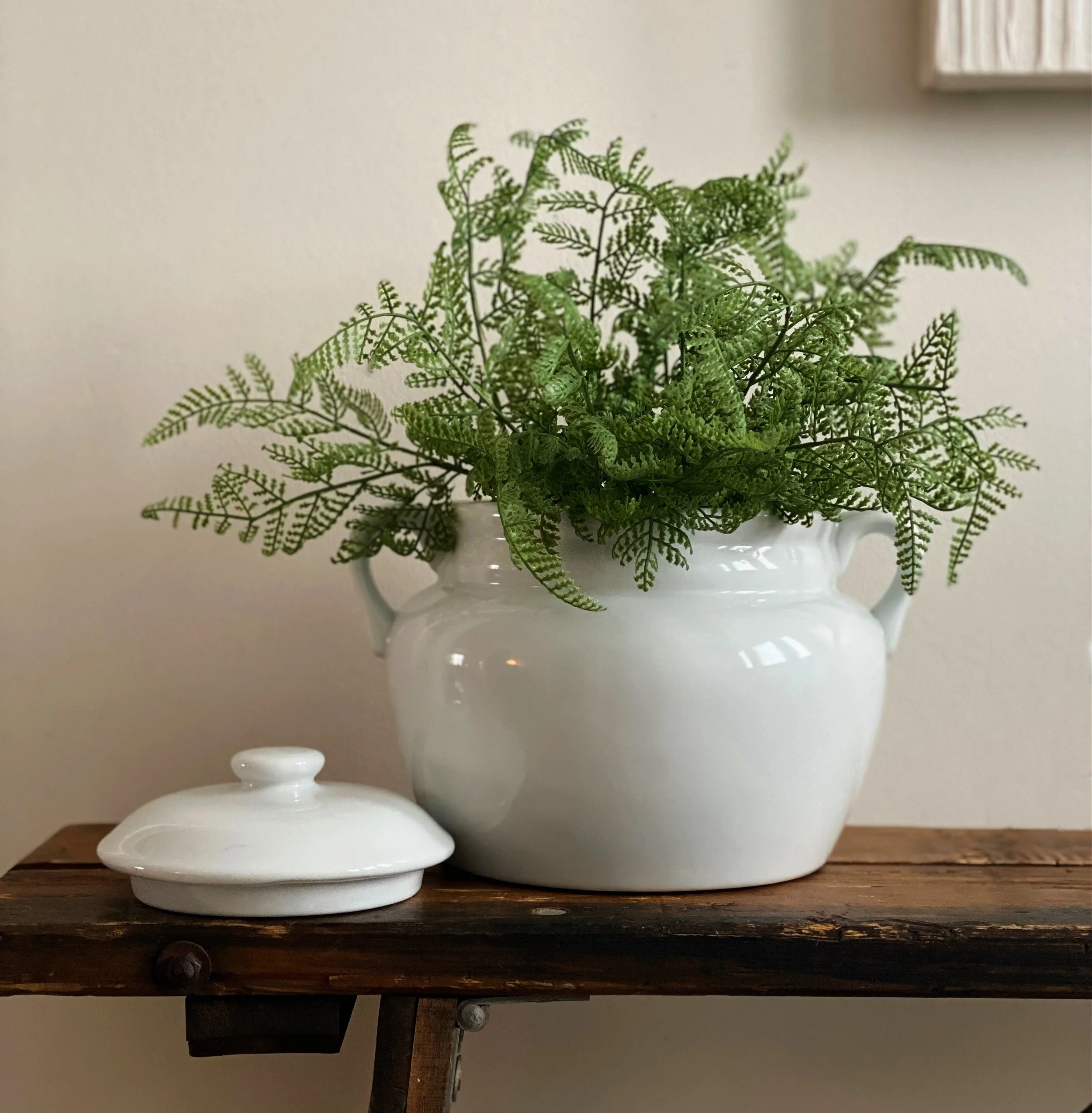 168ec905-e724-4b31-84d1-a15b4278a846.jfif