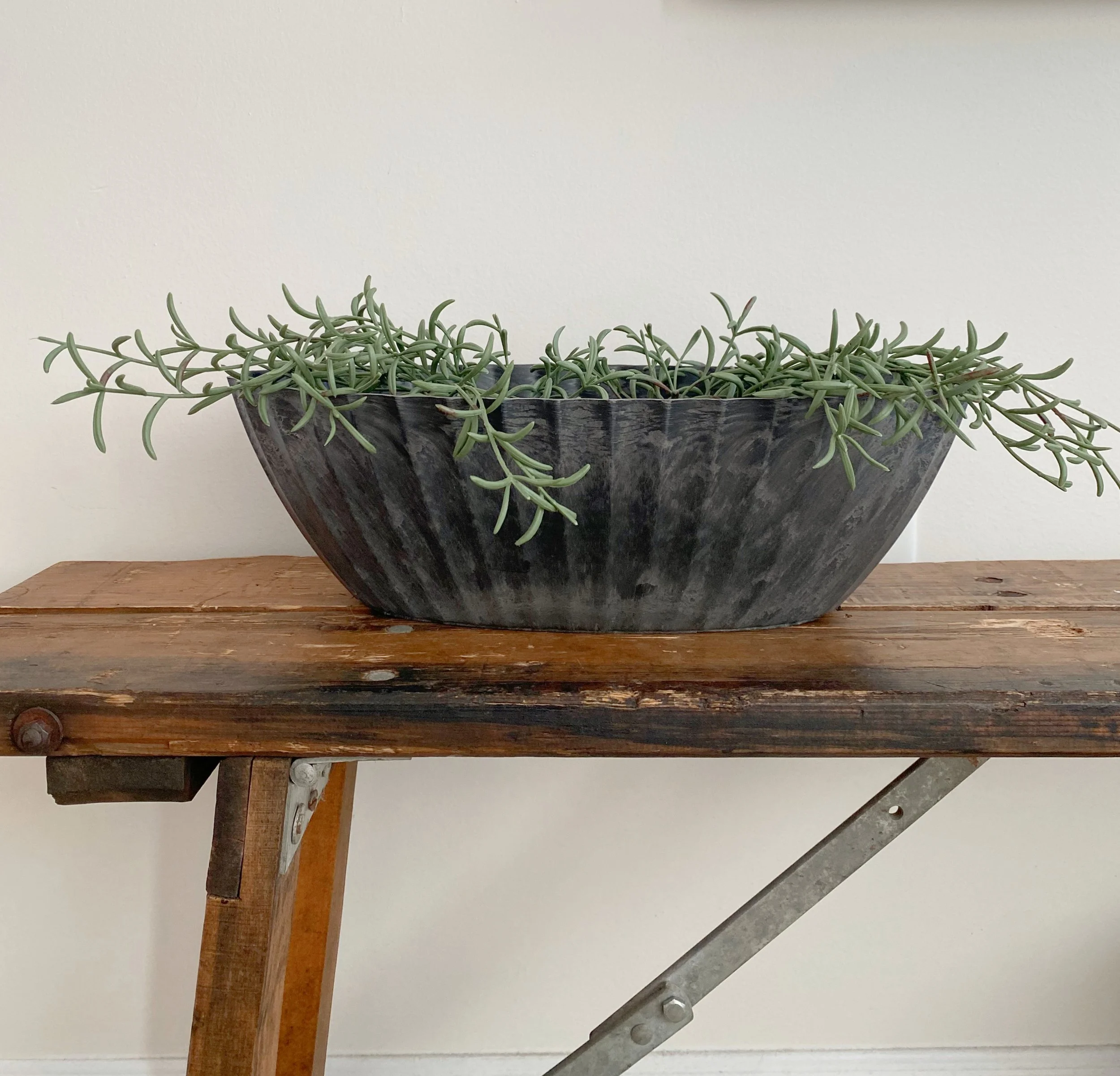 4f97d1a2-4ebb-431f-80c5-ab10a6fc6584.jfif