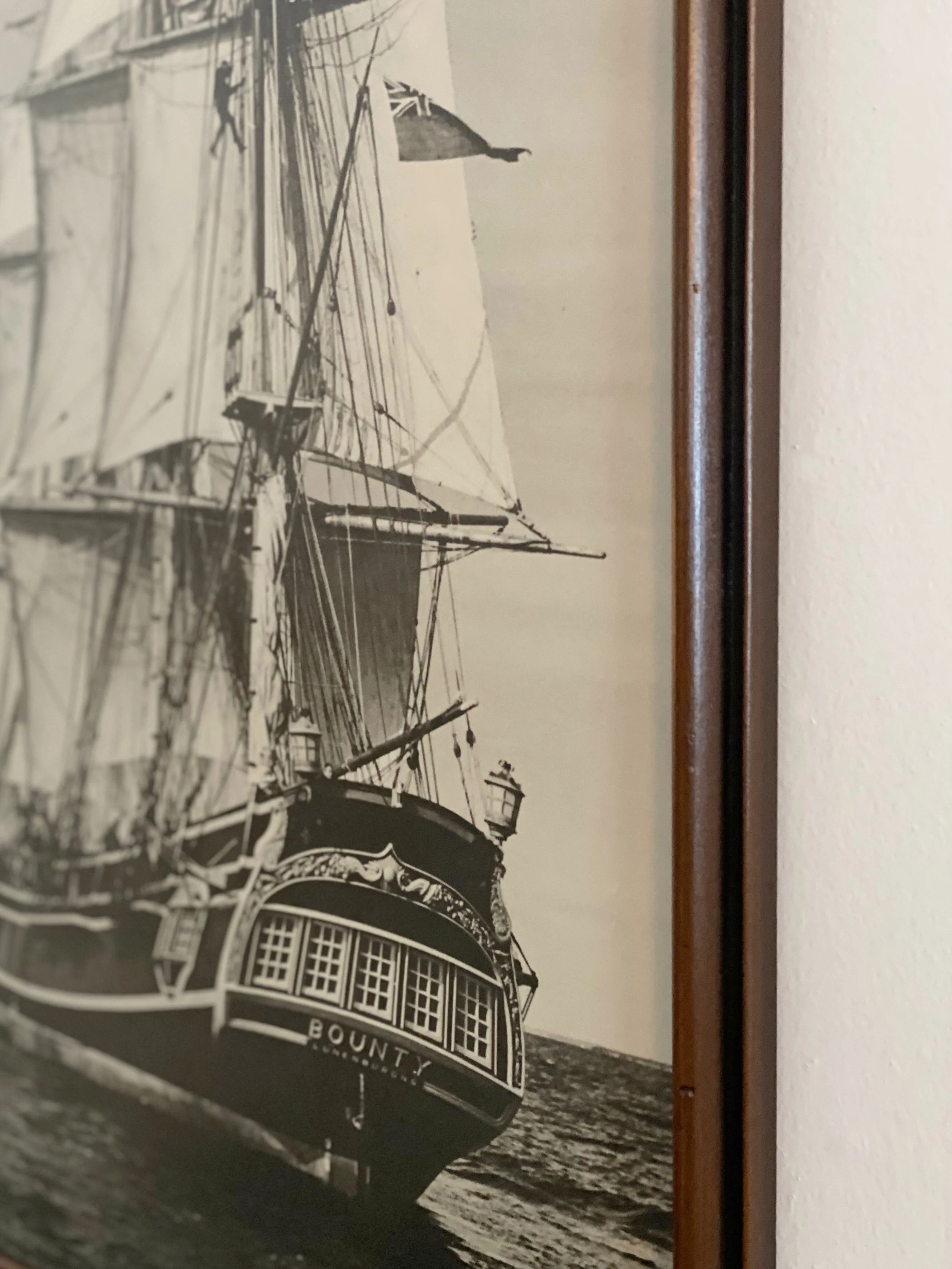 11e8440a-42bc-45f3-830c-36f364db6b4f.jfif