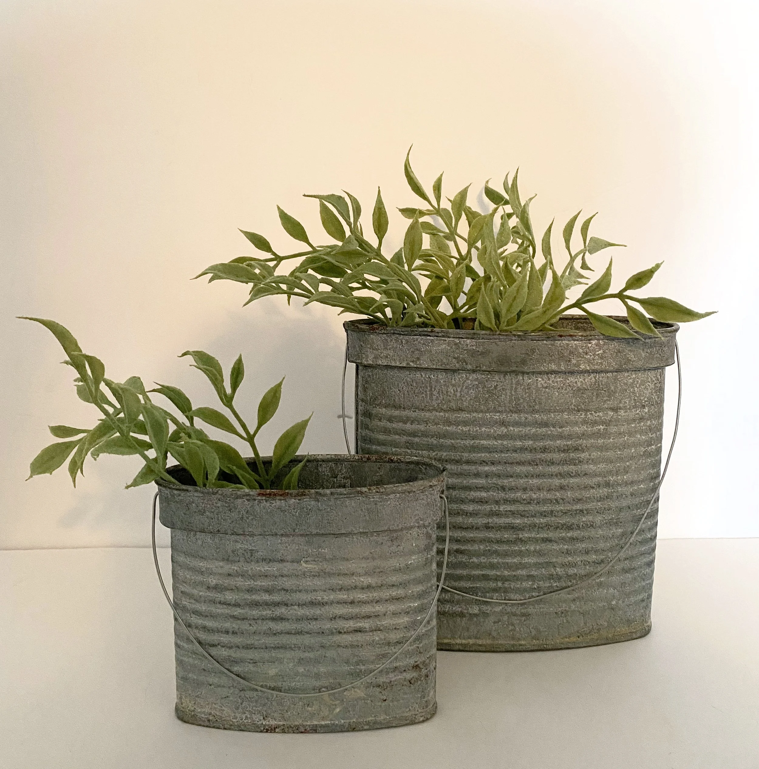 9fc23882-f427-4f71-bbe3-456951ff2293.jfif