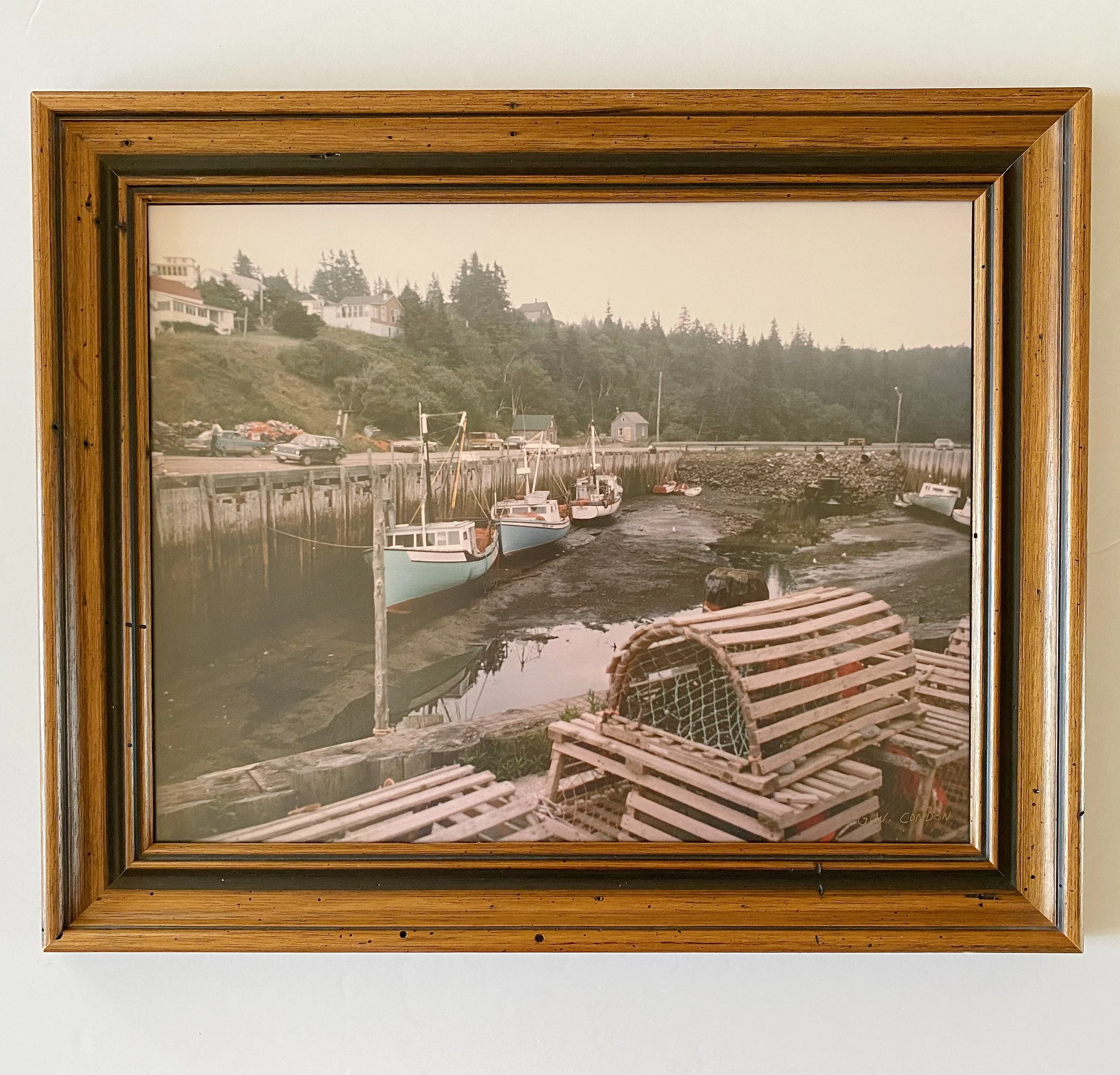 97319f5a-2888-465c-a419-beabf36c217e.jfif