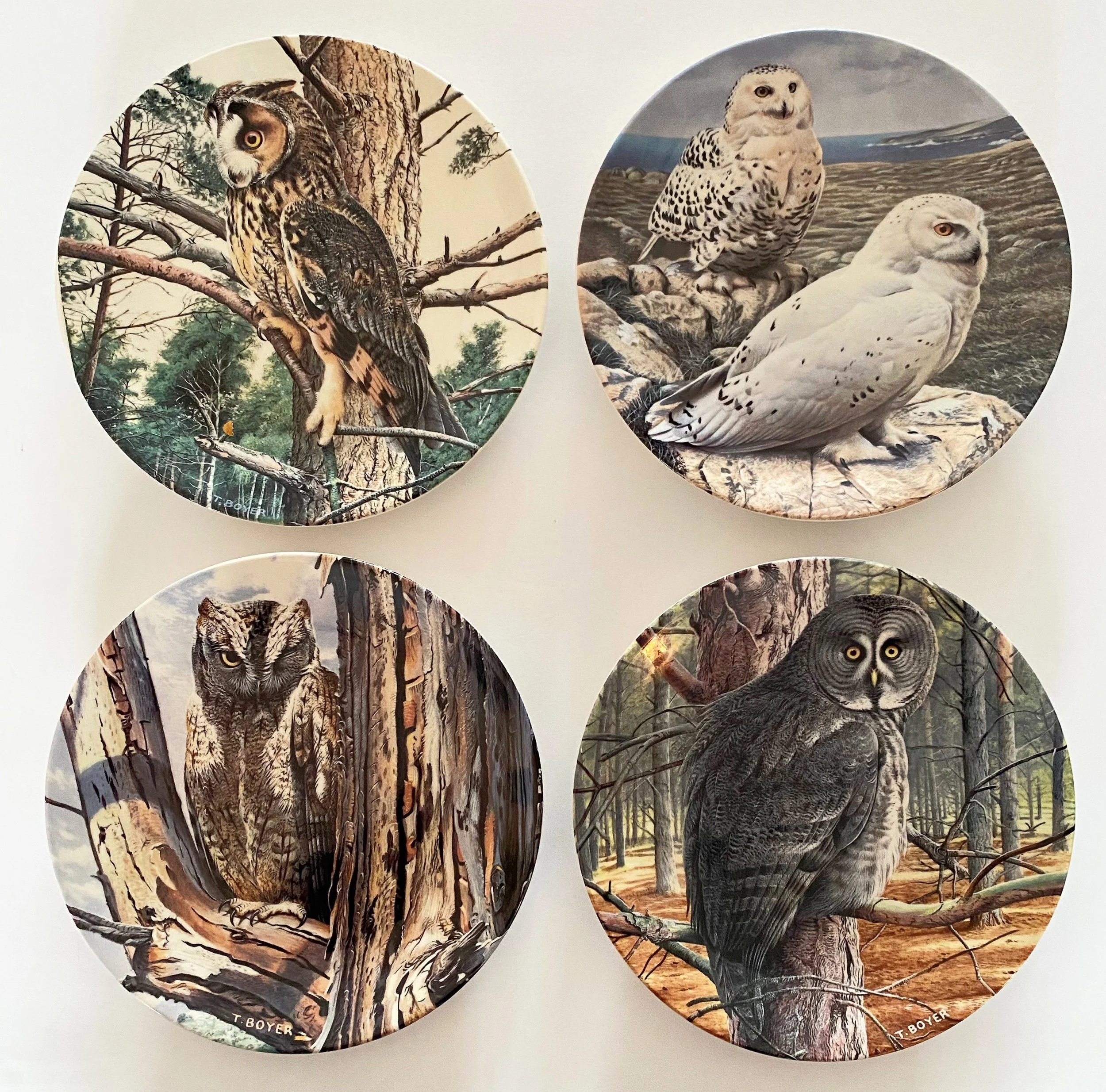 e4cf9f64-ad5e-4e01-a1ce-89029583156b.jfif