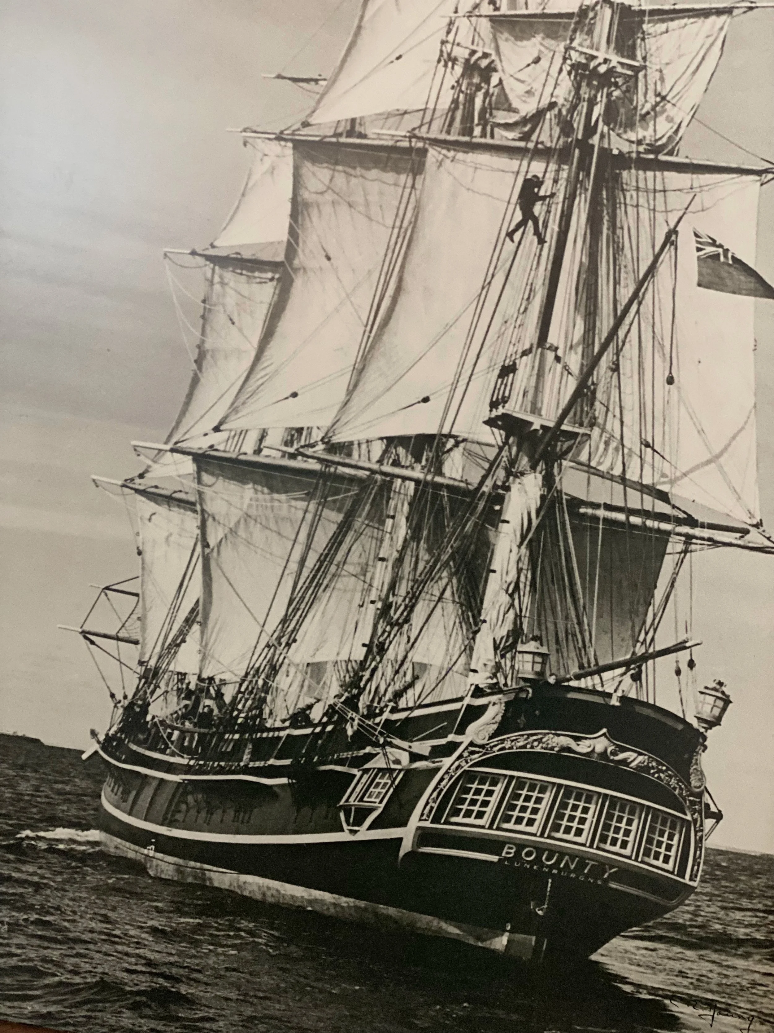 6635ab27-c0ce-465b-887d-9999a2dcf9df.jfif