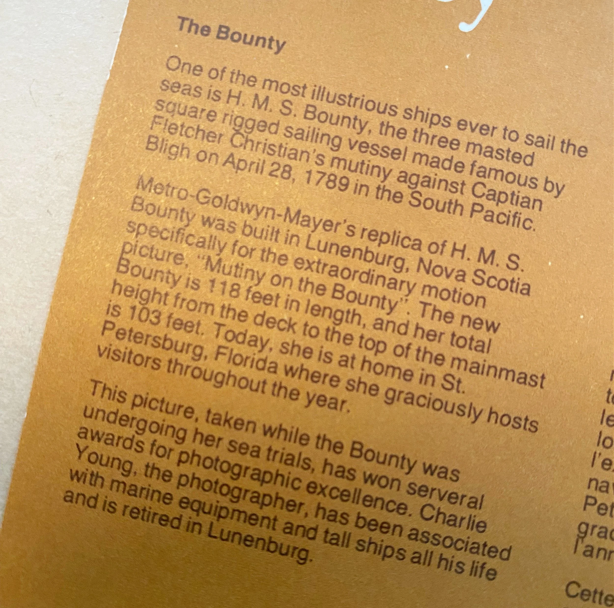 8c3c12b3-bd2b-4f38-b2cb-8a3b0f4de862.jfif