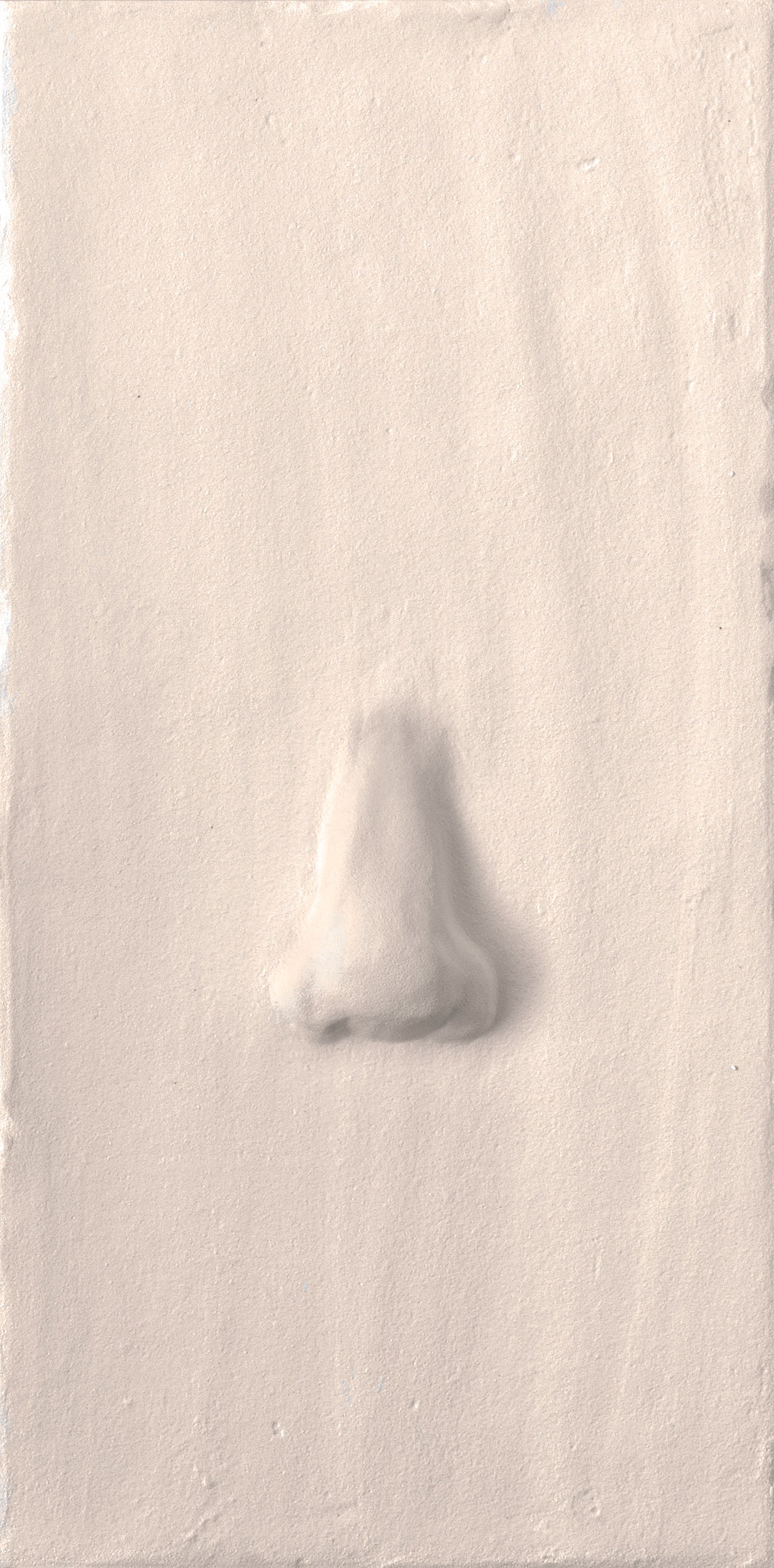 noses2_matt_chalk_15x15_00032.jpg