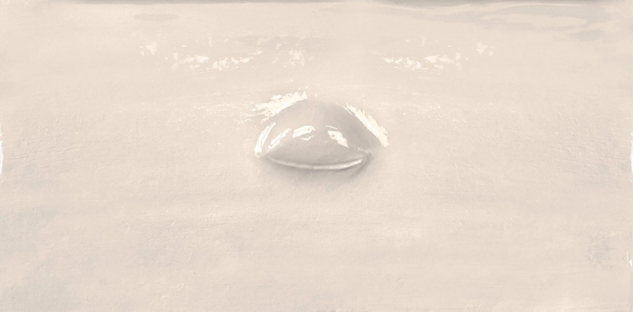 eyes1_glossy_chalk_15x30_00046.jpg