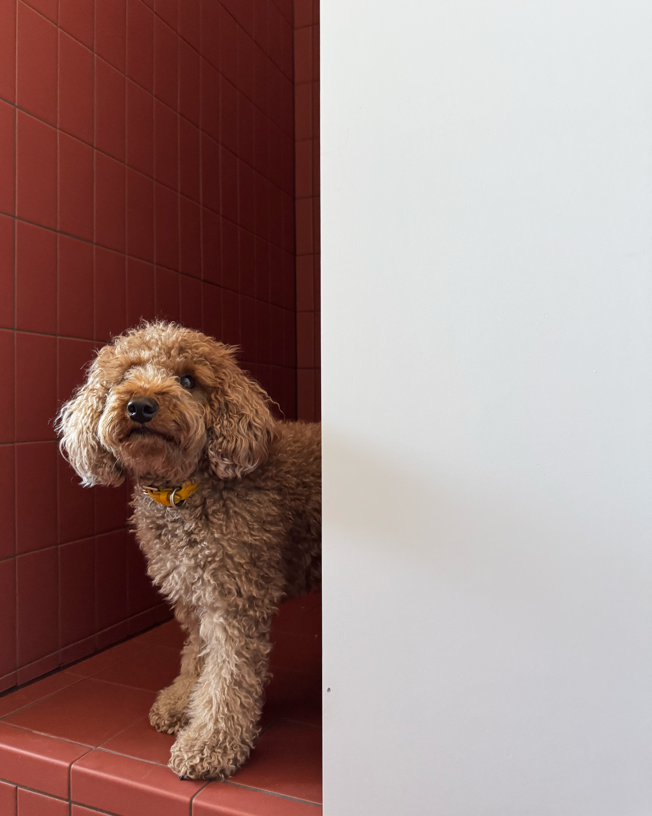 Project: Dream Bathroom in Red Matte Mutina Ceramic Tiles