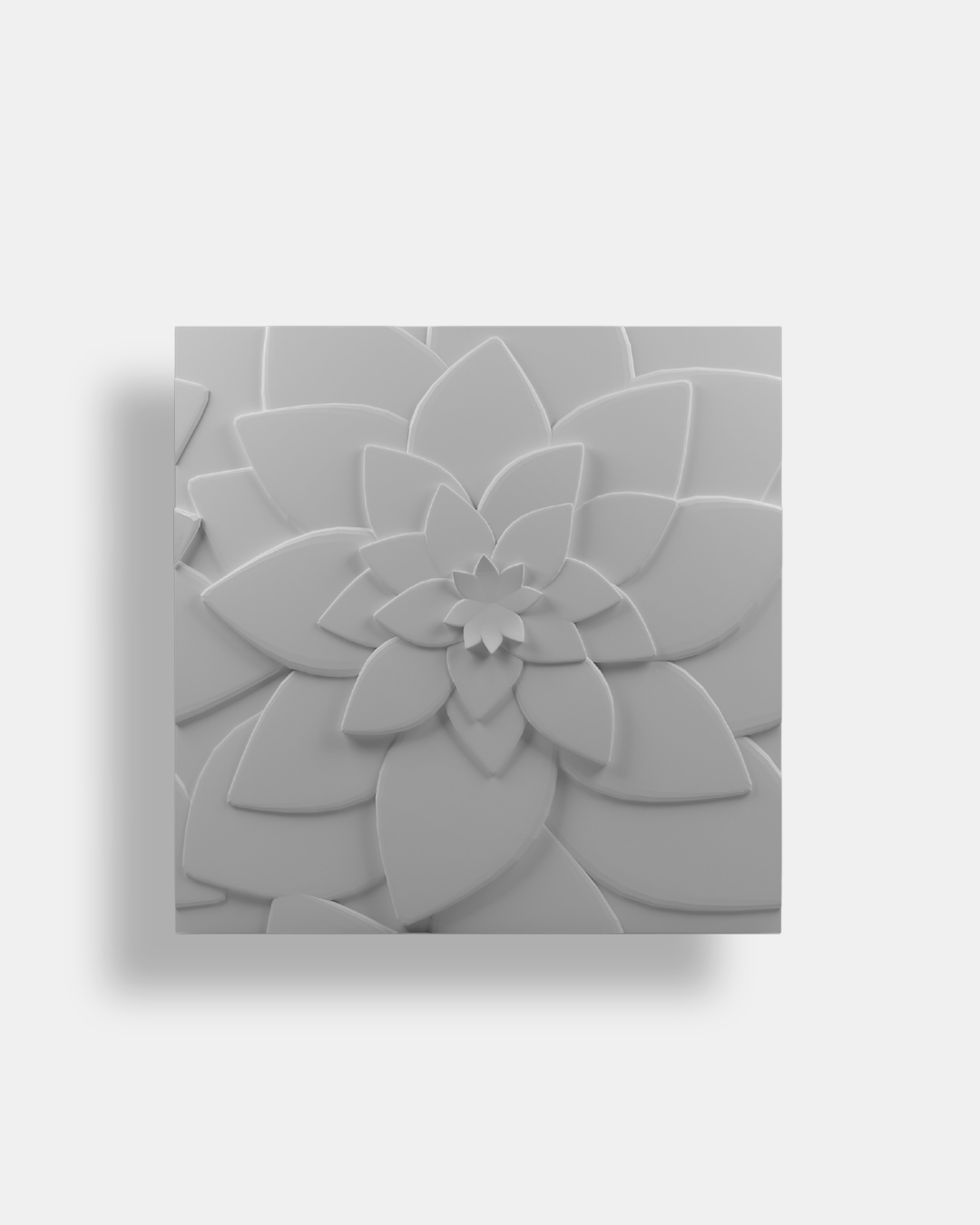 Bloom