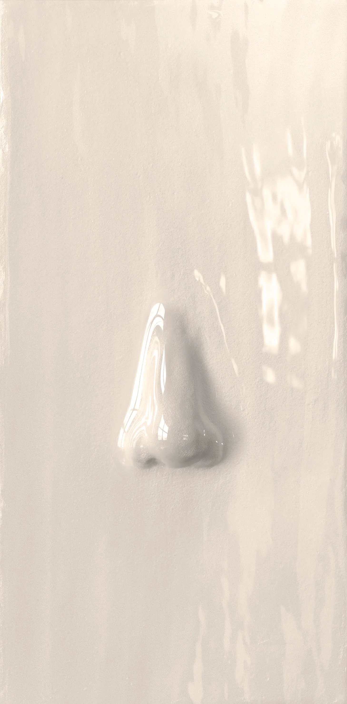 noses2_glossy_chalk_15x15_00032.jpg