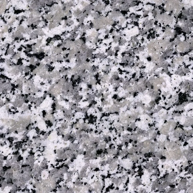 Bianco-Sardo-mini-800x800.jpeg (Copy)