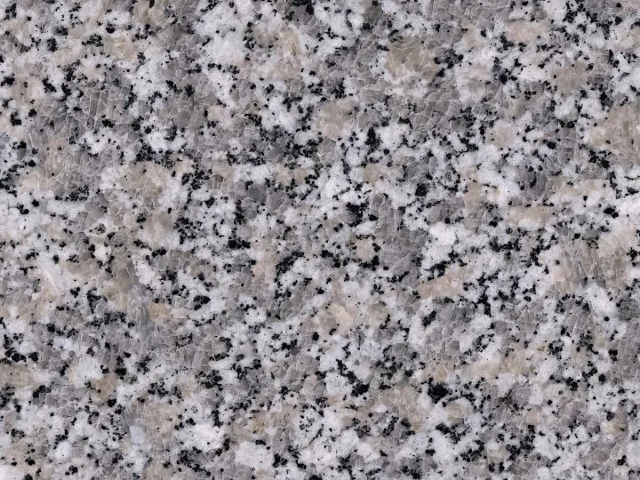 RosaSardo.jpeg (Copy)