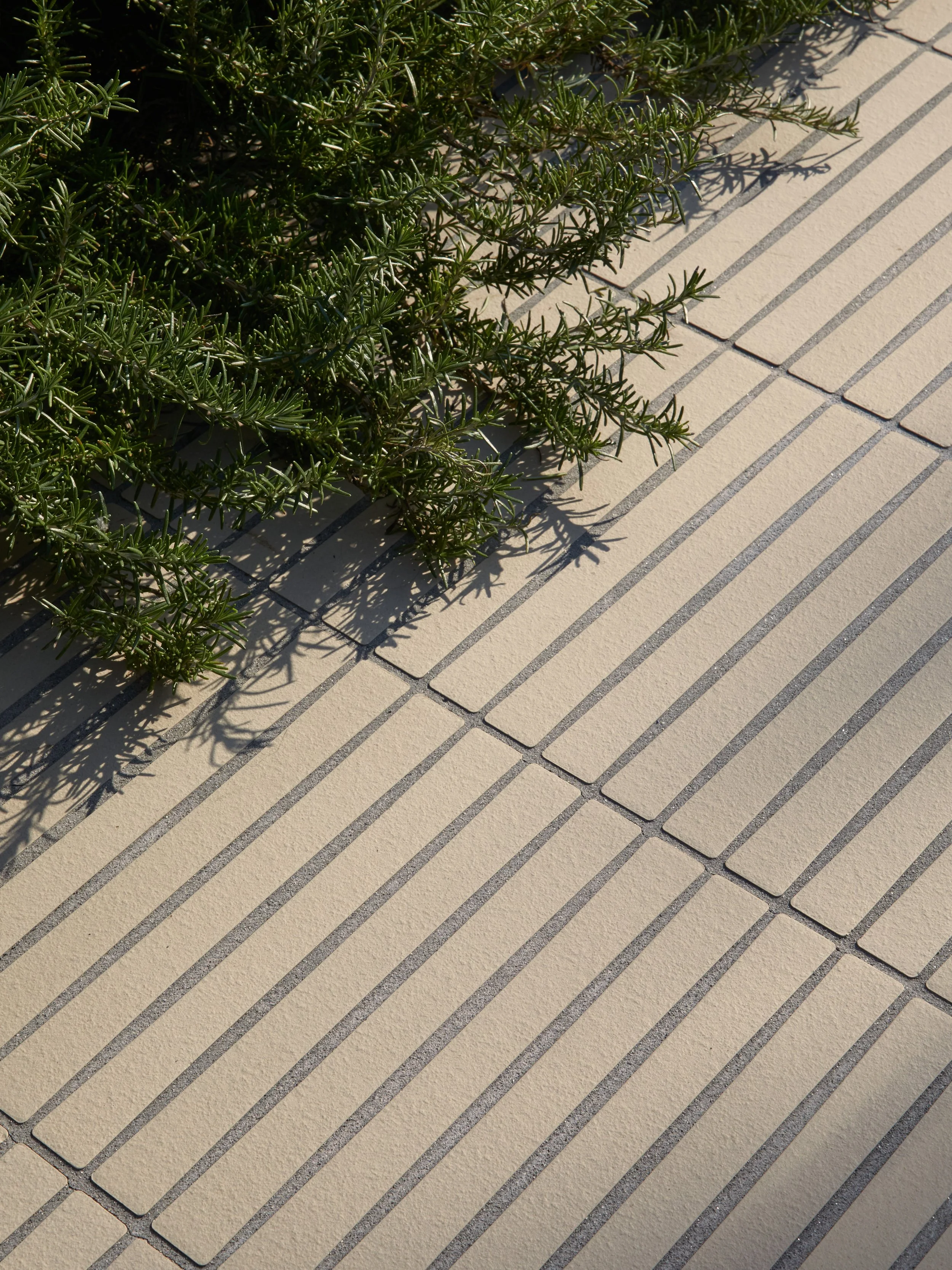 04112024_MUTINA_OSSO_S_BIANCO_102.jpg
