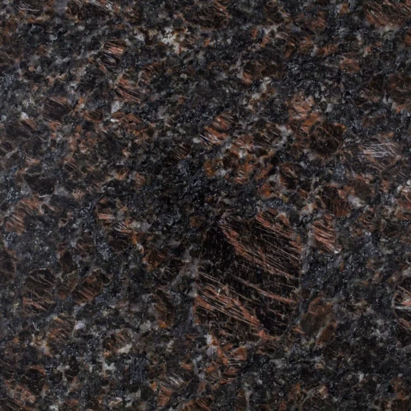 Tan-Brown-mini-800x800.jpeg (Copy)