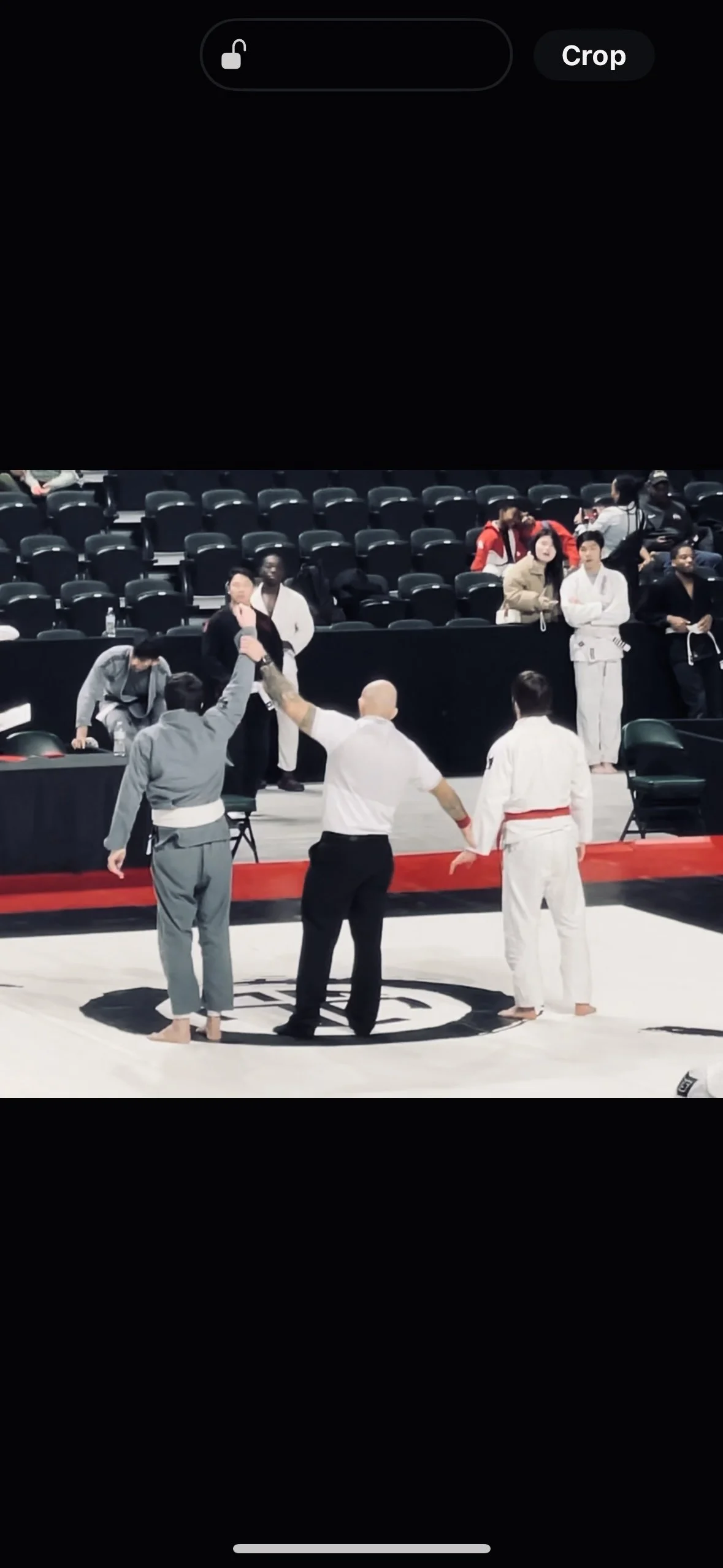 A martial arts tournament with a referee raising a competitor's hand, two competitors in martial arts uniforms, one in gray and the other in white with a red belt, and an audience watching.