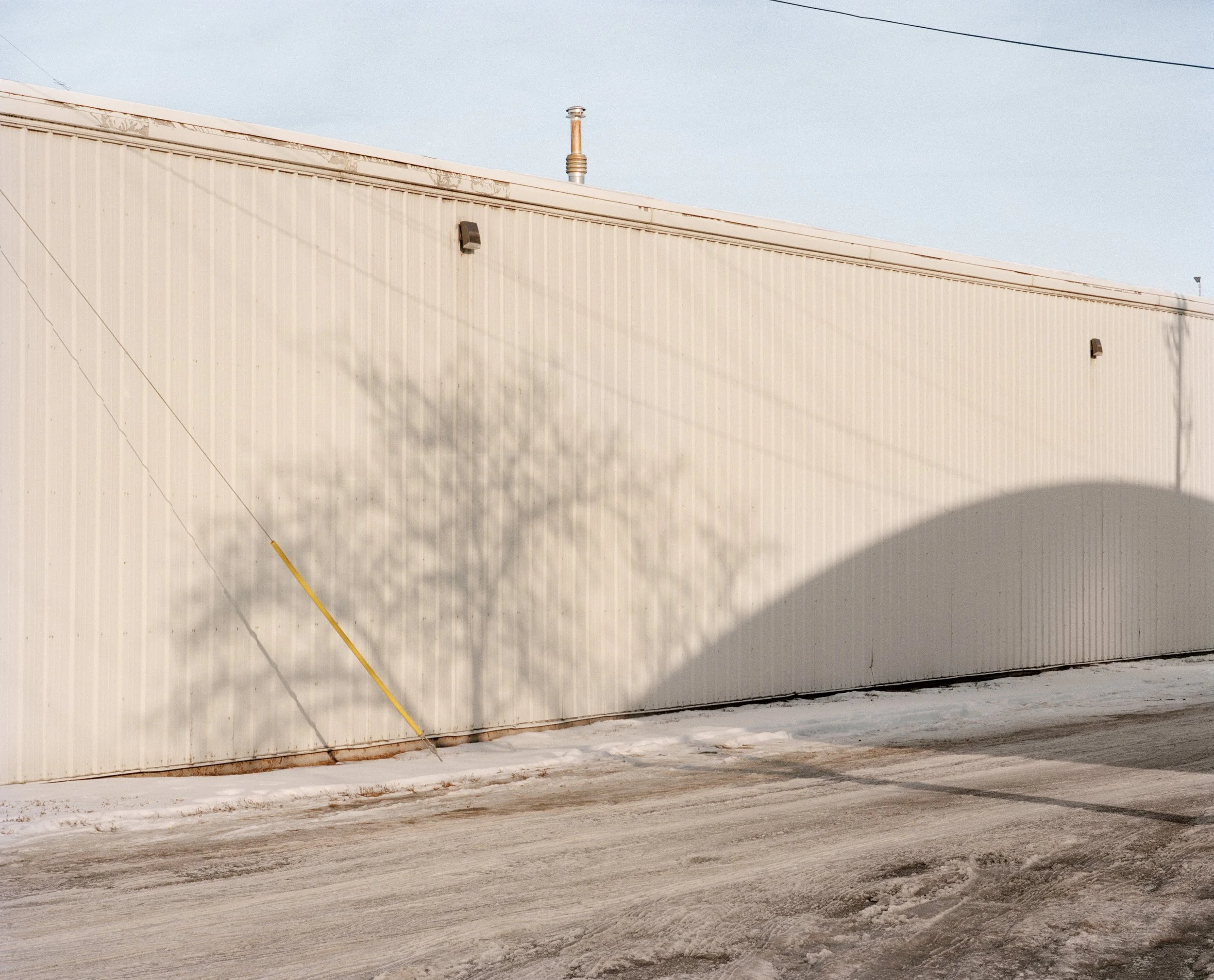 Pared de aluminio color crema y soleada con la sombra de un árbol