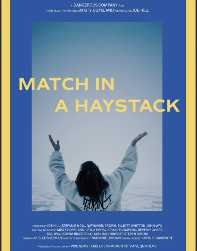 Match In a Haystack.png