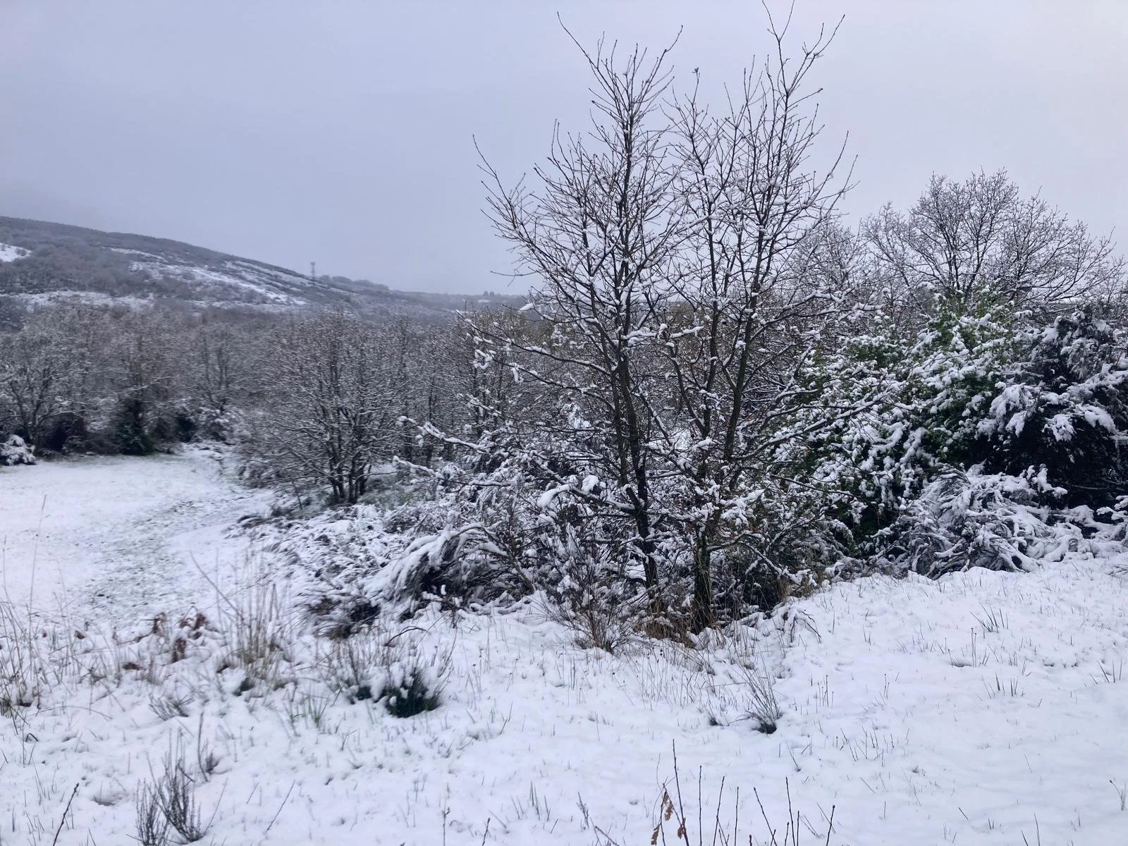 Snow- Camino (15).jpeg