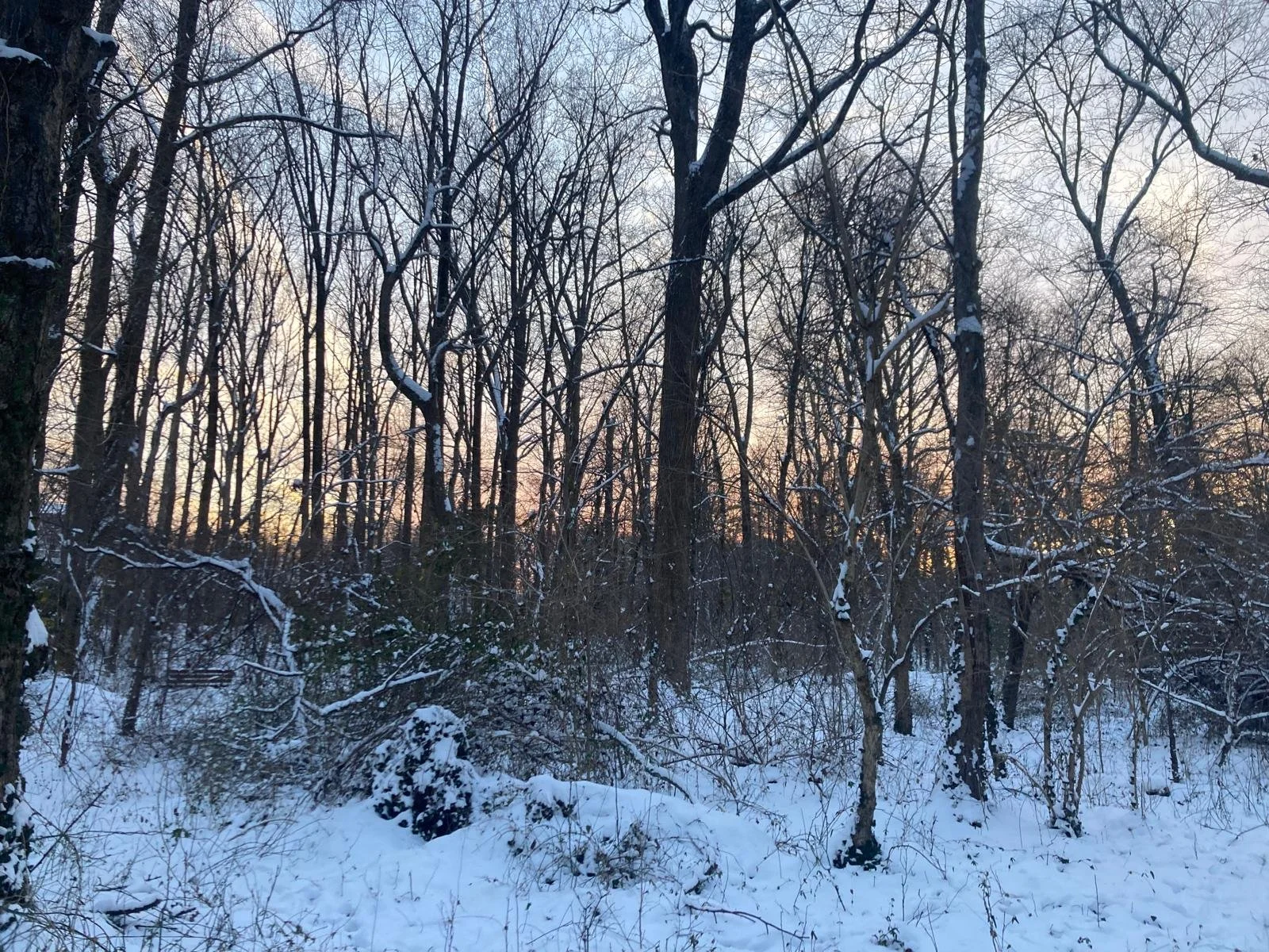 Snow- Falls Church (11).jpeg