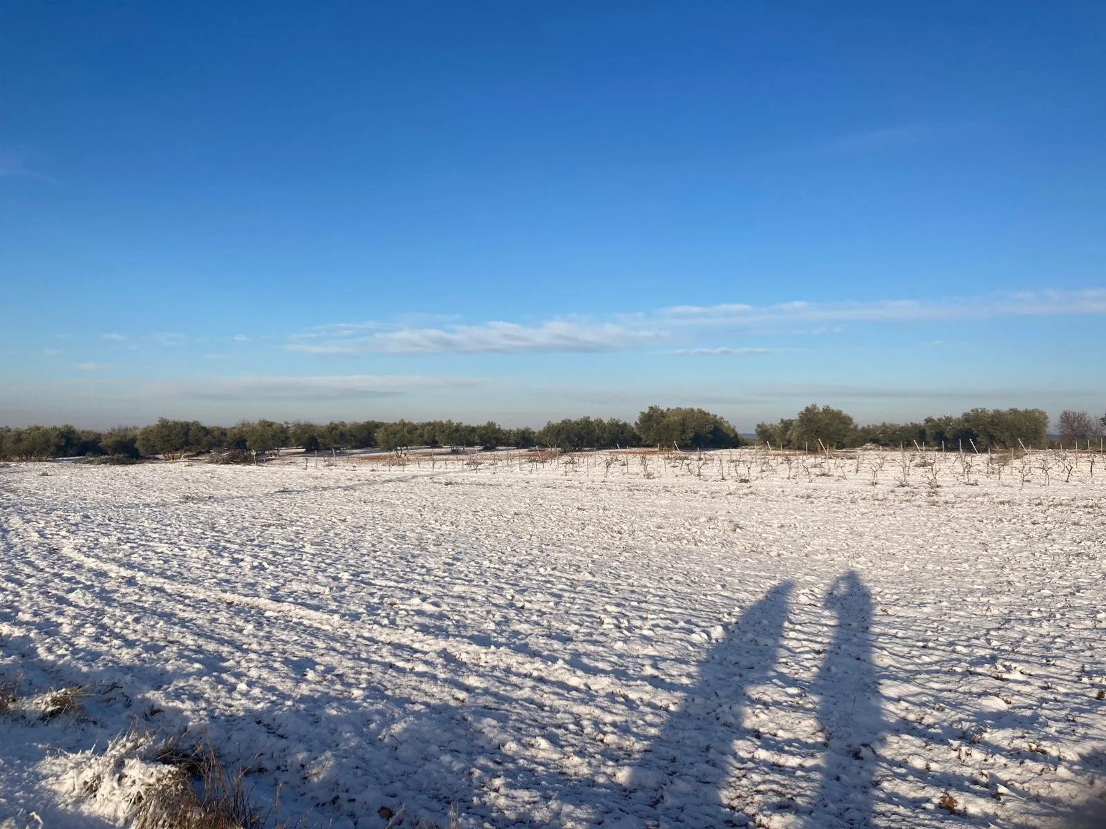 Snow- Casasimarro (4).jpeg