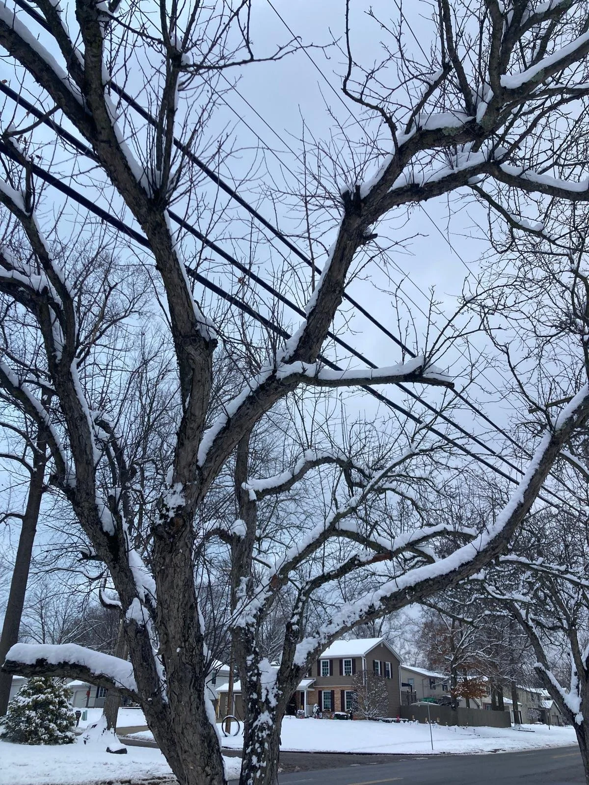 Snow- Boardman (18).jpeg