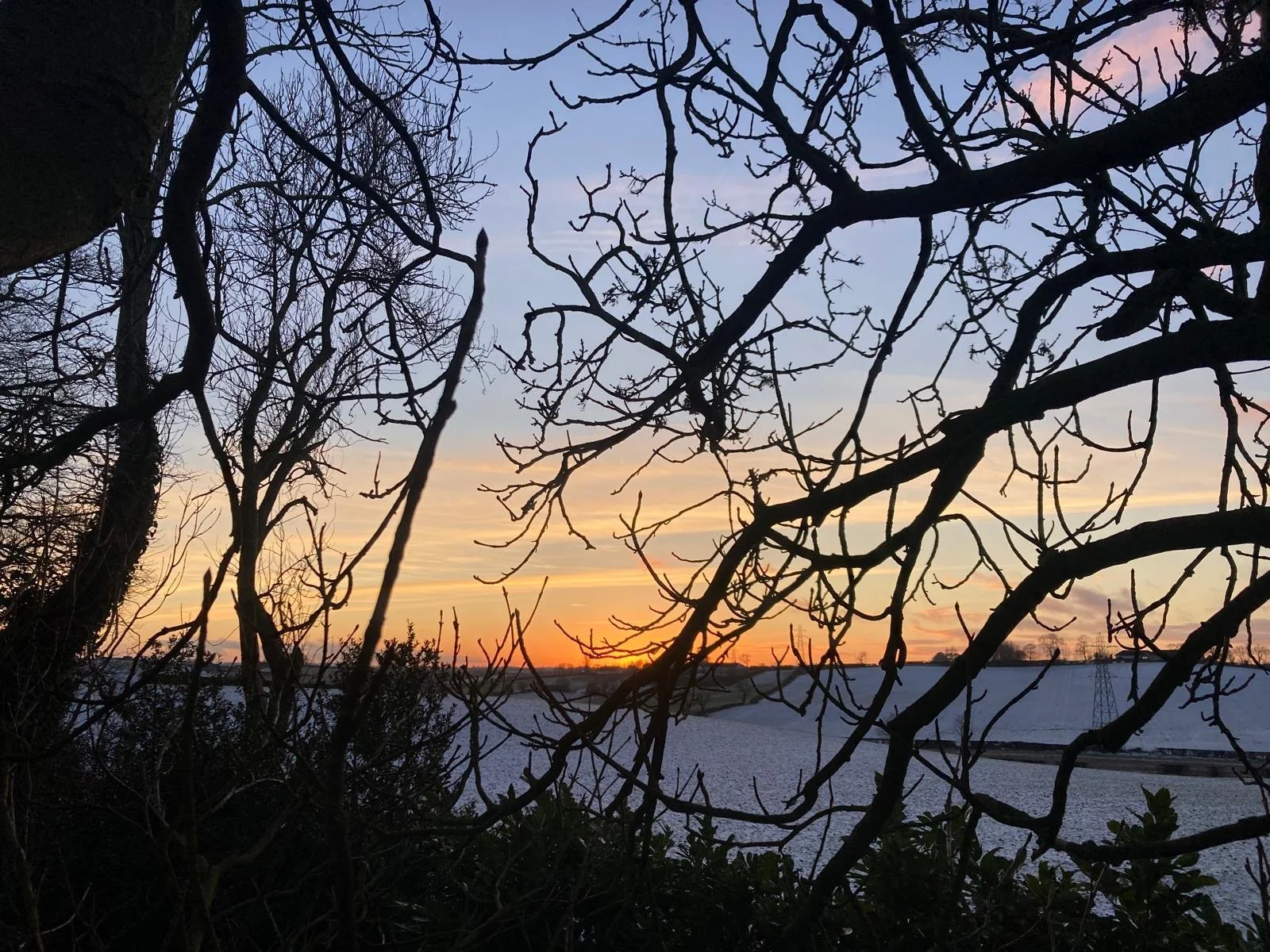 Snow- Slieve Croob (26).jpeg