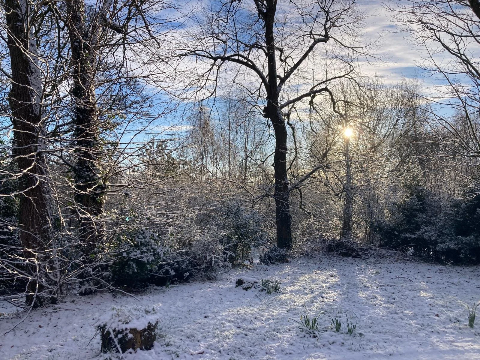 Snow- Slieve Croob (25).jpeg