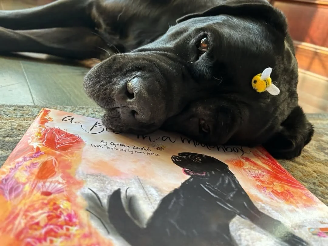 @beyond_words_books Chuckie is READY for the release of A BEE IN A MATCHBOX - and so are we!! Get your copy next week. 🐾 

#ABeeInAMatchbox #ChildrensPictureBook #KidsBookstagram #PictureBookLove #KidsLit ReadAloud Storytime DogsofInstagram CuteDogs
