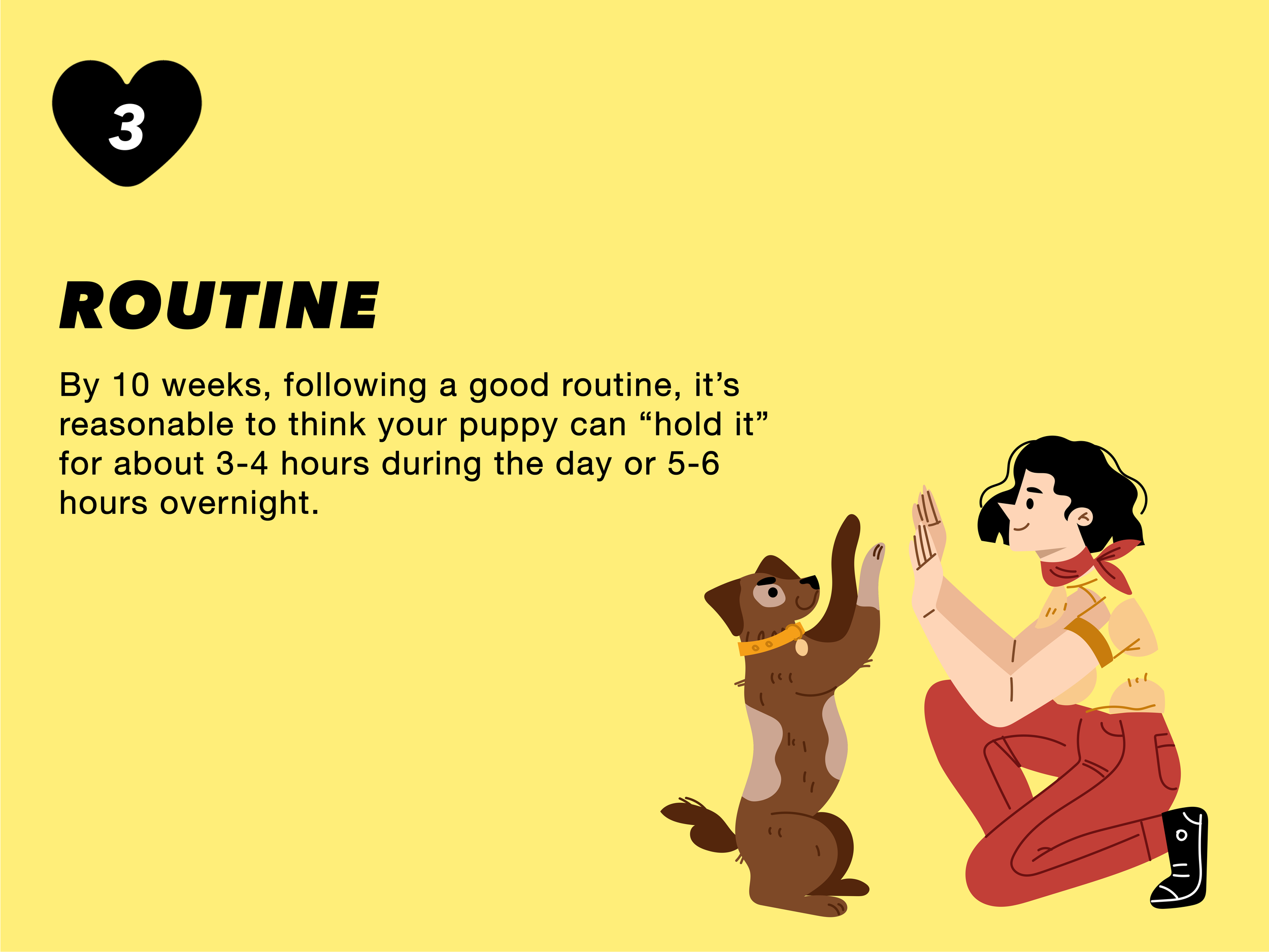 routine@2x.png