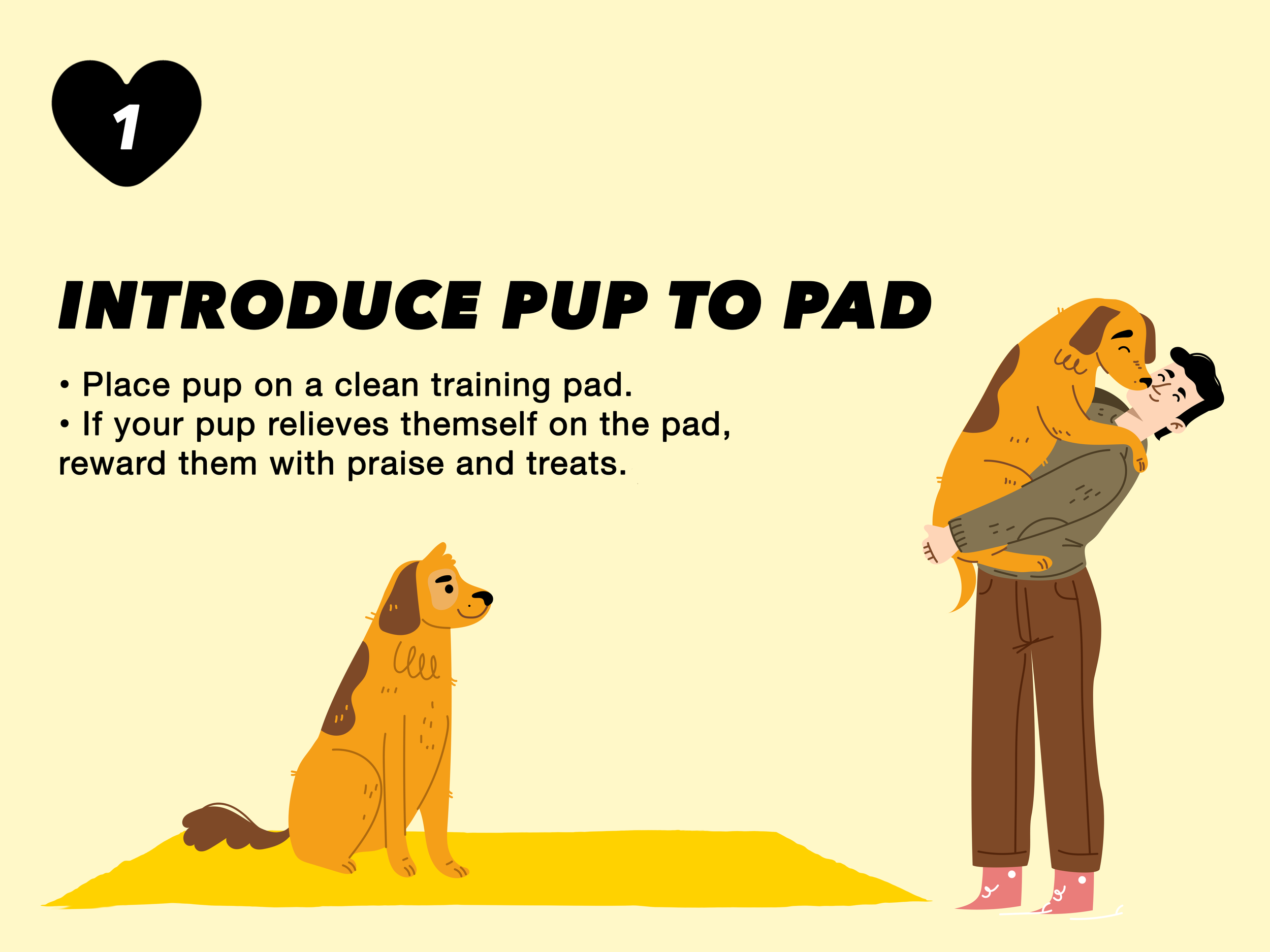 pup to pad.png