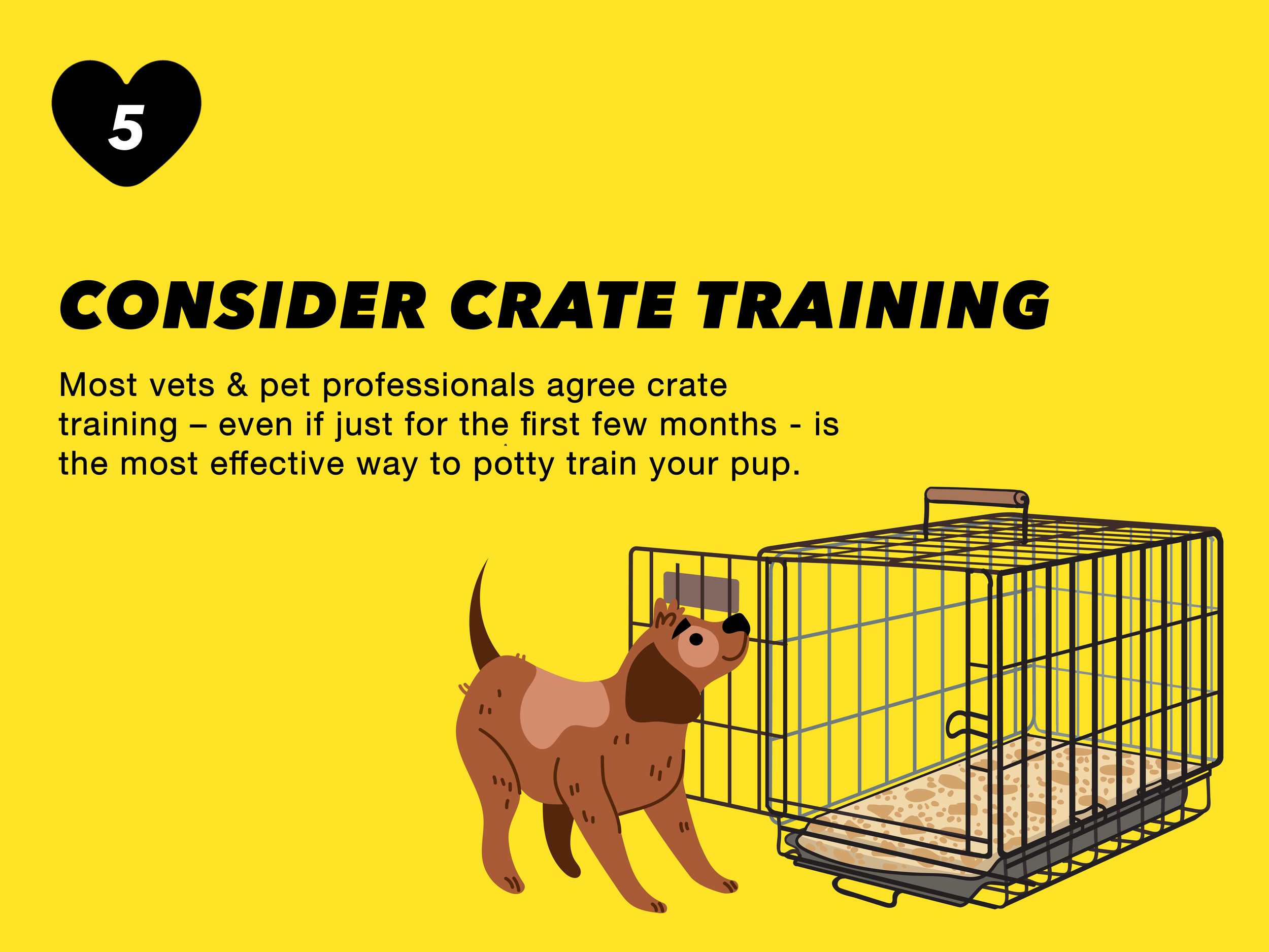 crate training@2x.png