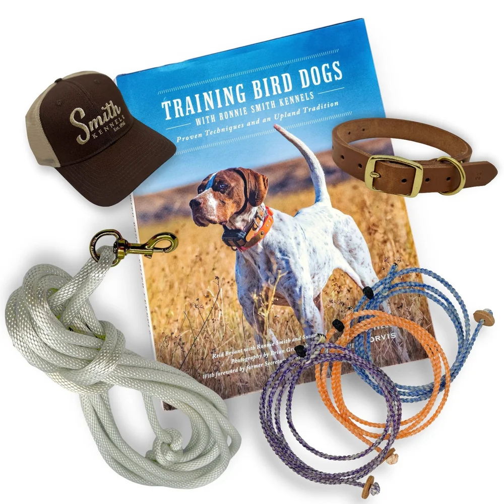 Training Bird Dogs: Master the Art of Canine Hunting