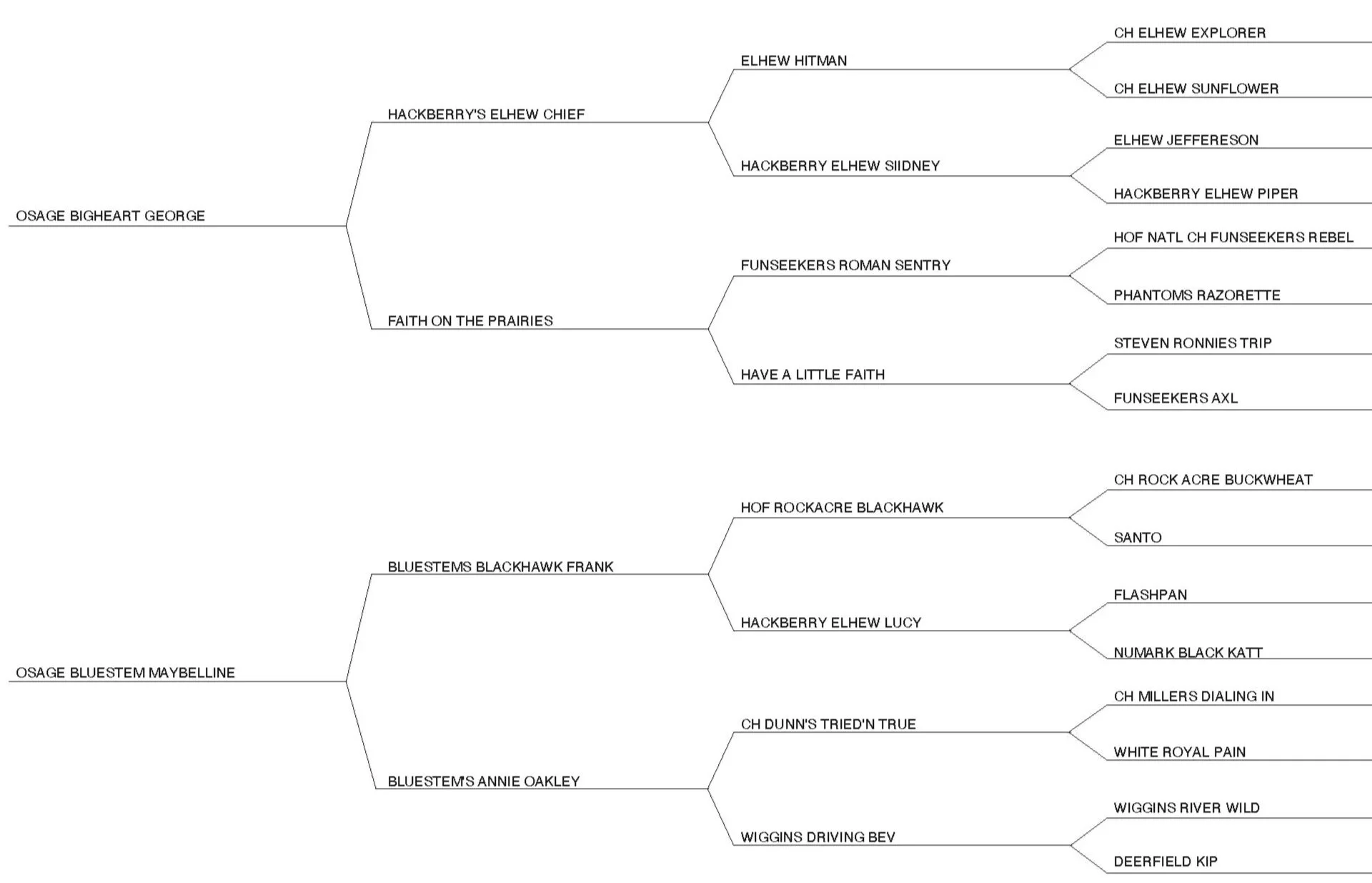 Pointer puppies pedigree with Elhew Jefferson, Elhew Sunflower, Rockacre Blackhawk, Dunn's Tried N True, Miller's Dialing In, Funseeker's Rebel