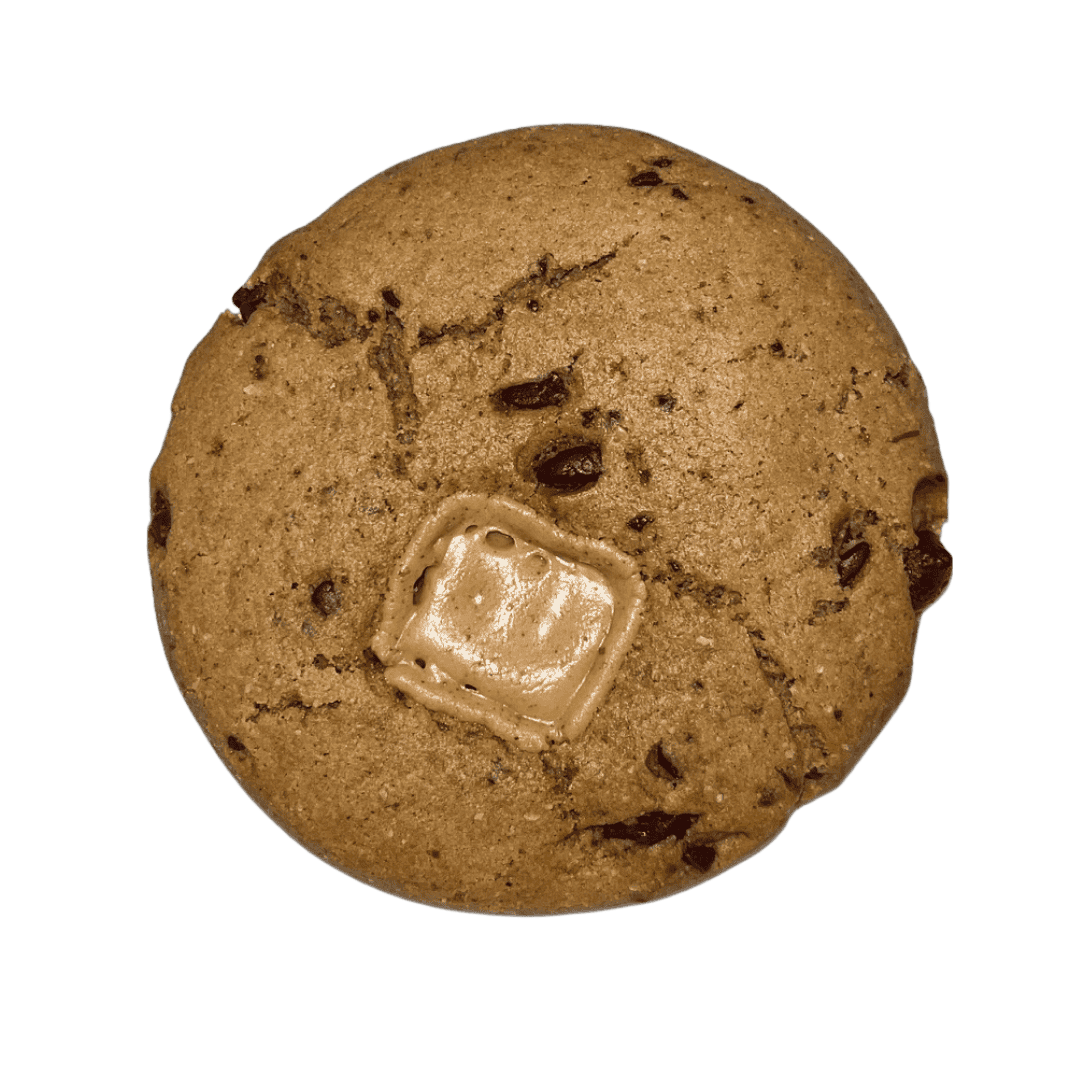 peanut butter chocolate chip cookie