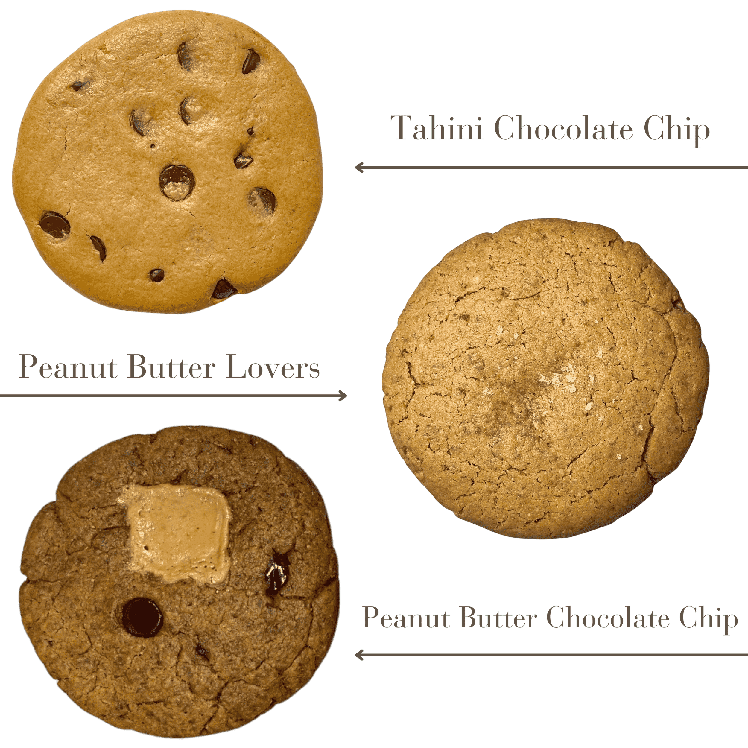 Cookie Sample 1mb.png