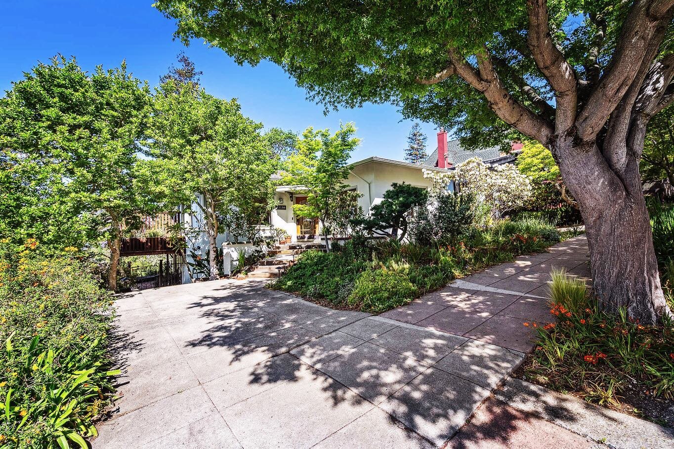 Such a pretty, leafy hello in this botanical bungalow with additional guest suite &mdash; now on the market and getting all the love.
Open houses Saturday and Sunday. Do not miss it!

www.1156walnut.com

&hellip;

1156 Walnut Street, Berkeley 
3++ be